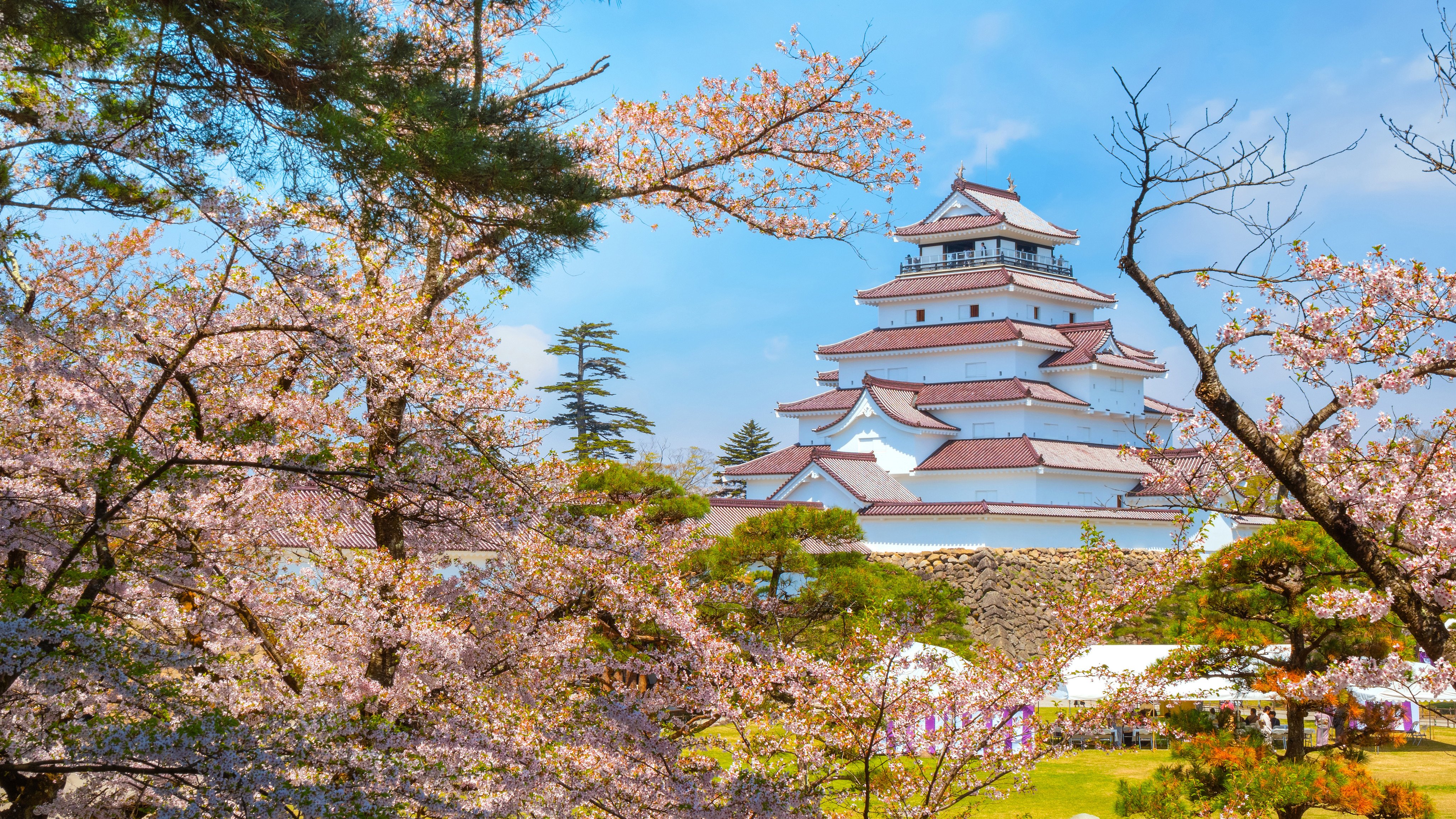 Japan’s Fukushima prefecture is home to tourist attractions such as Aizuwakamatsu Castle and springtime cherry blossoms. The region saw steady growth in  visitor numbers during the years following the 2011 triple disaster. Photo: Shutterstock