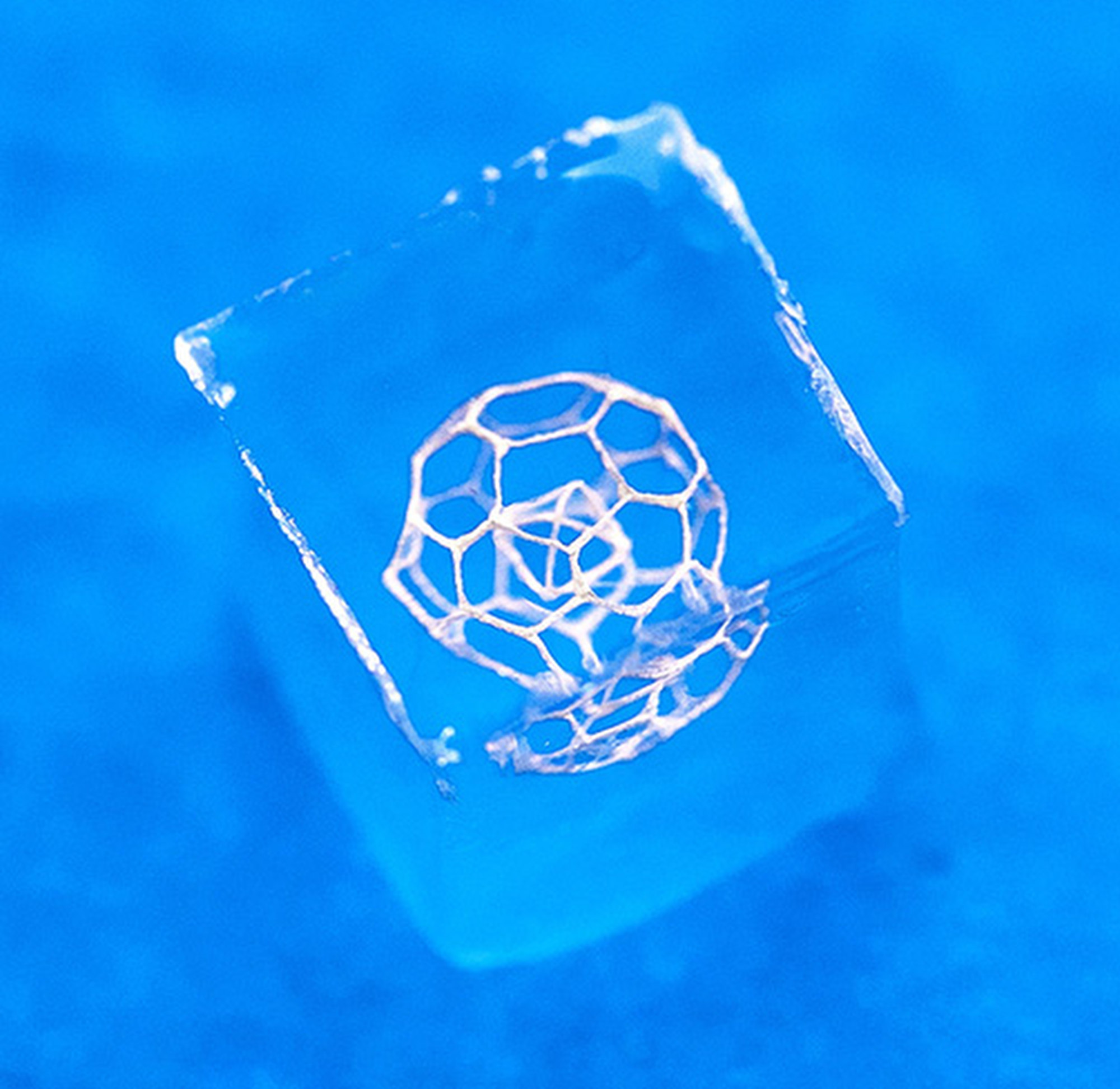 Hydrogel can be used to print 3D structures in free form, according to the study’s first author. Photo: Handout