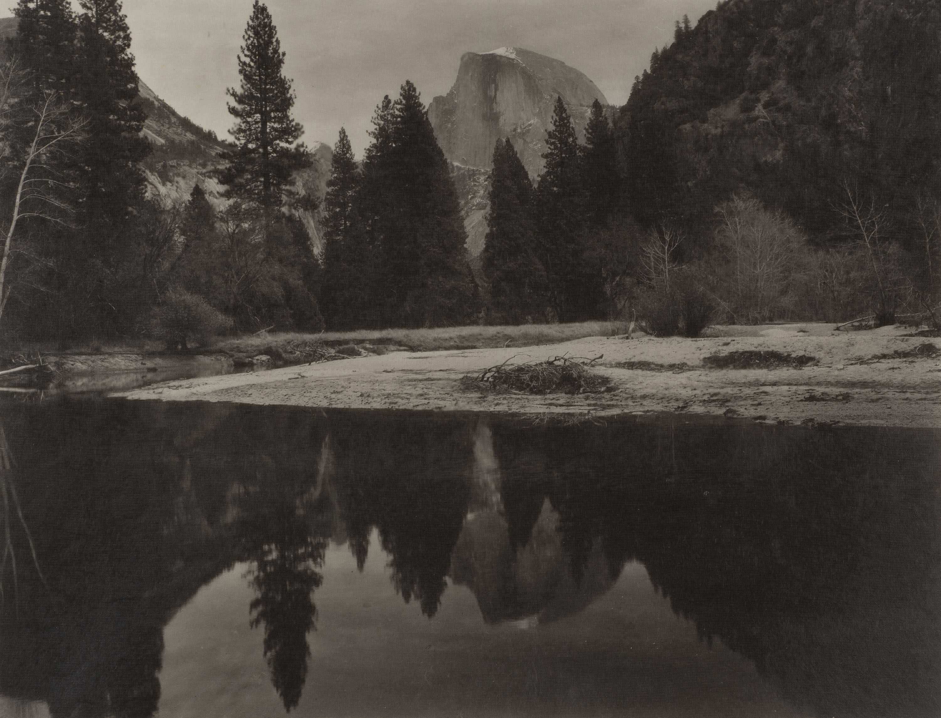 Detail from “Silent Respiration of Forests-Yosemite: Yosemite #23” by Japanese photographer Takeshi Shikama, featured in his current solo exhibition in Hong Kong. Photo: Takeshi Shikama, courtesy of Boogie Woogie Photography