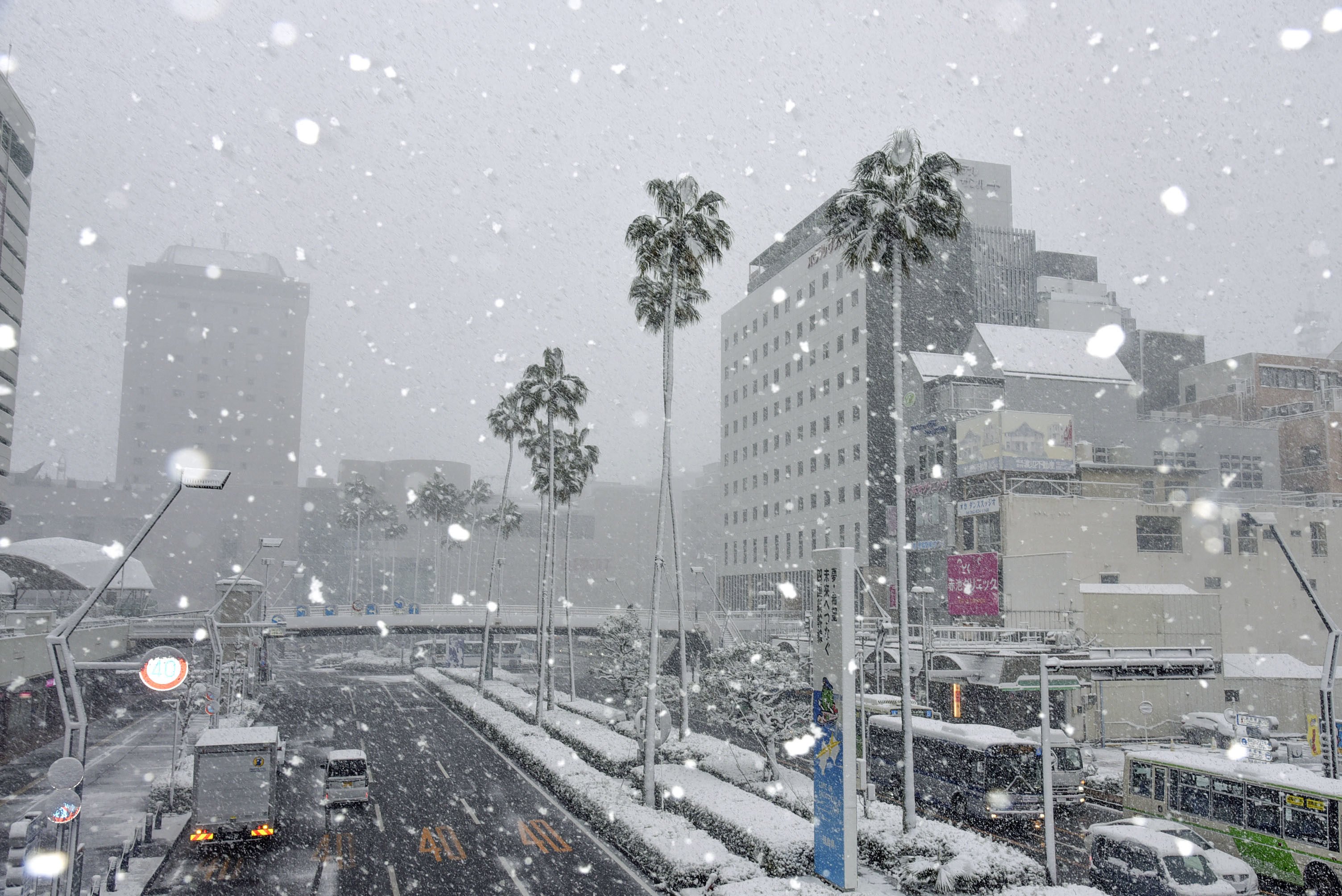 Tokyo gets heavy snow advisory as weather agency warns of disruptions