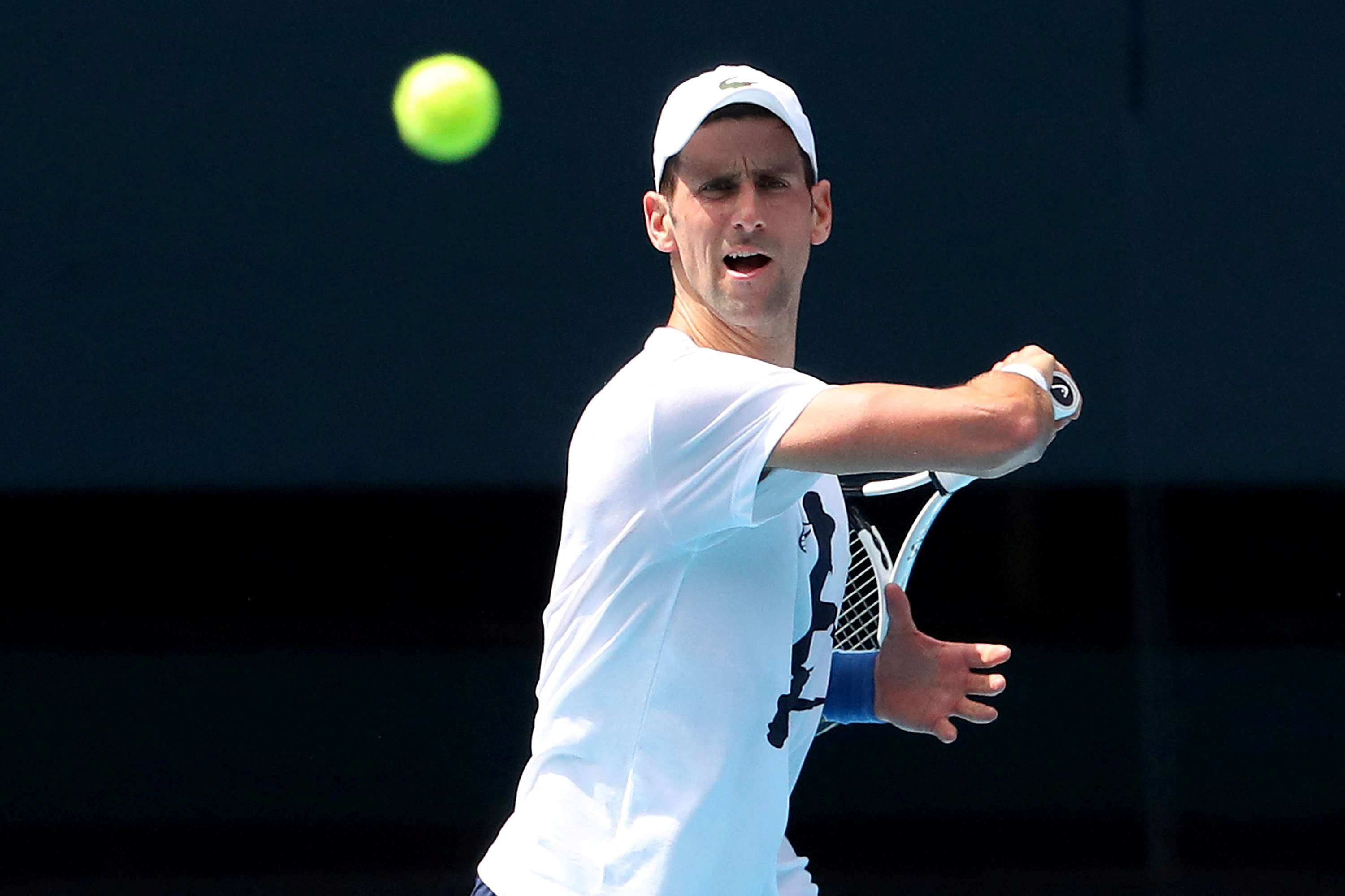 Novak Djokovichas been granted a visa and is expected to play in the Australian Open next month. Photo: Reuters