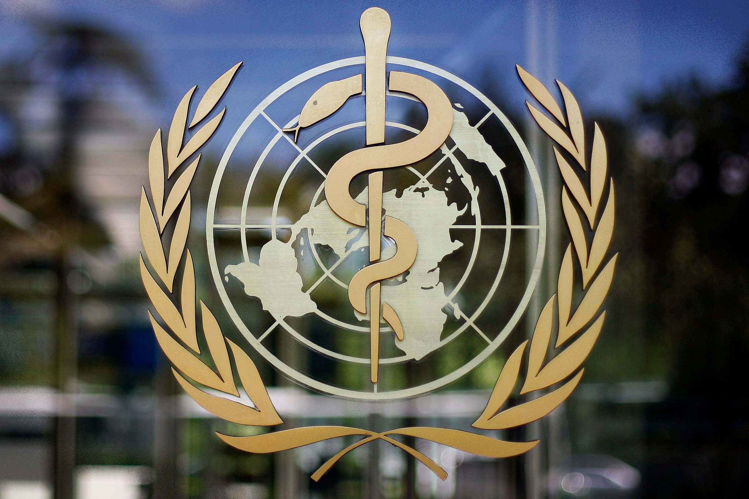 The World Health Organization logo at its headquarters in Geneva, Switzerland. Photo: AP