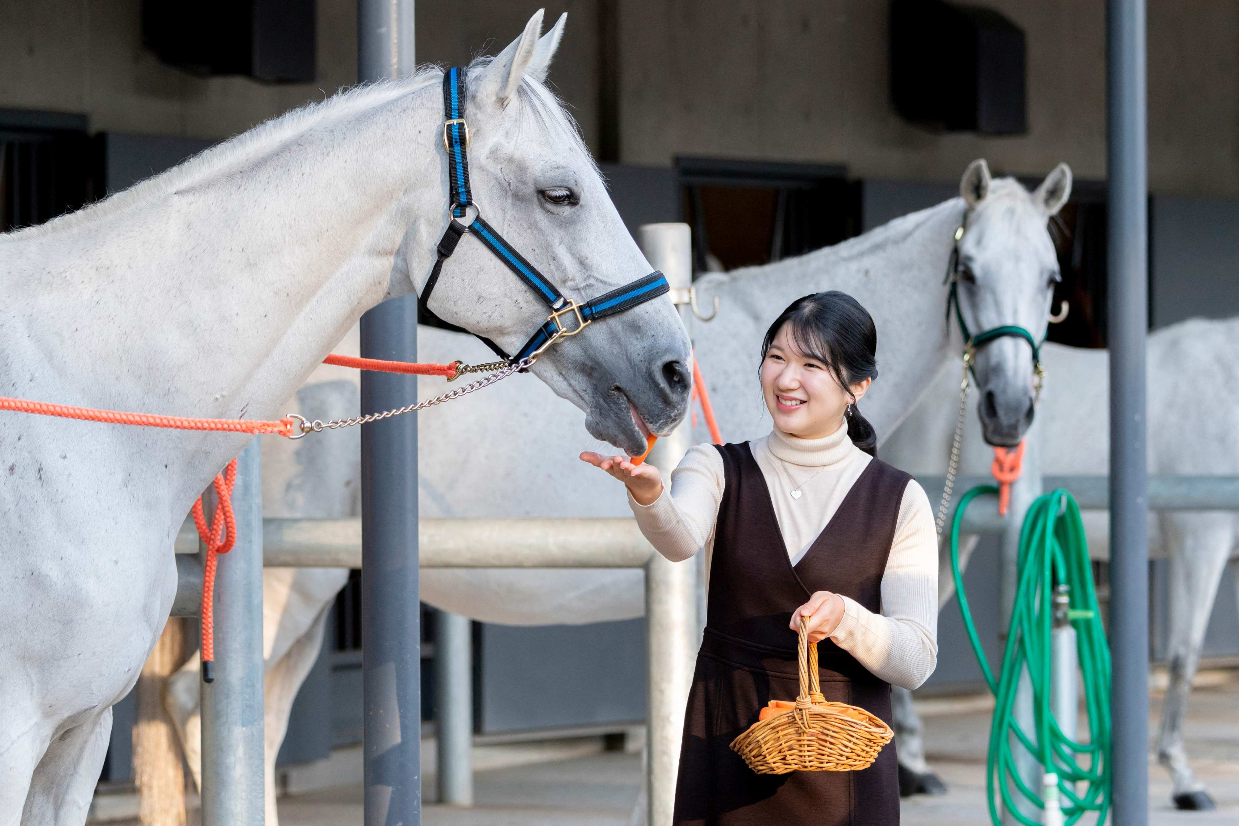 Japan’s Princess Aiko feeds a horse in Tokyo. Photo: Imperial Household Agency / AFP