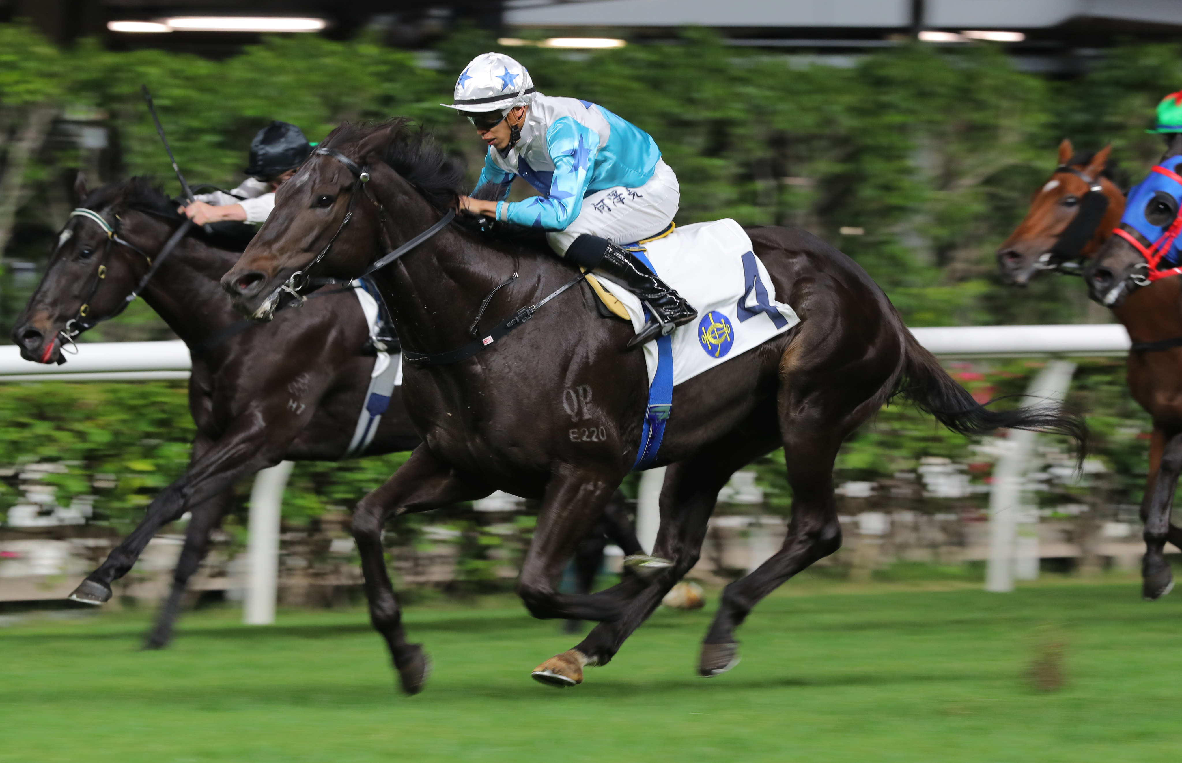 Gold Gold Baby surges late under Vincent Ho to win for the third time at Happy Valley this season. Photo: Kenneth Chan