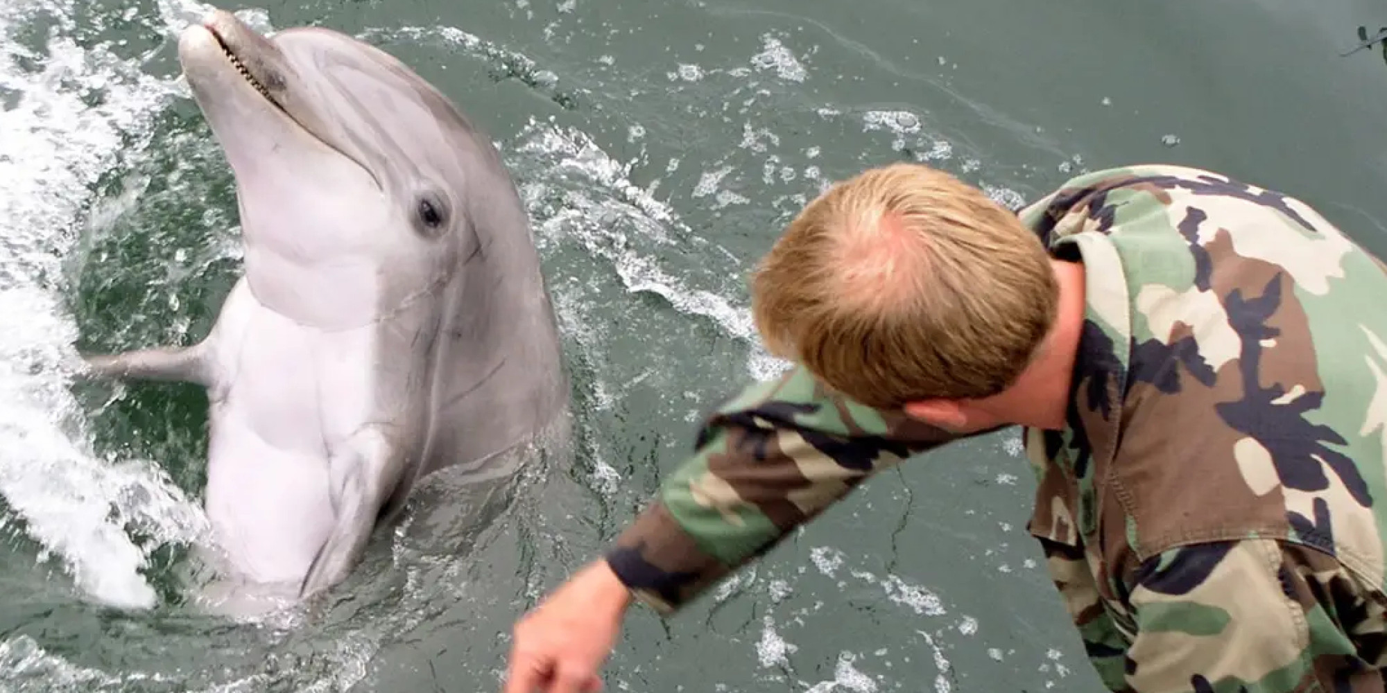A US Navy marine mammal handler with a dolphin during a port-security exercise in May 2005. Photo: Handout/US Navy/File