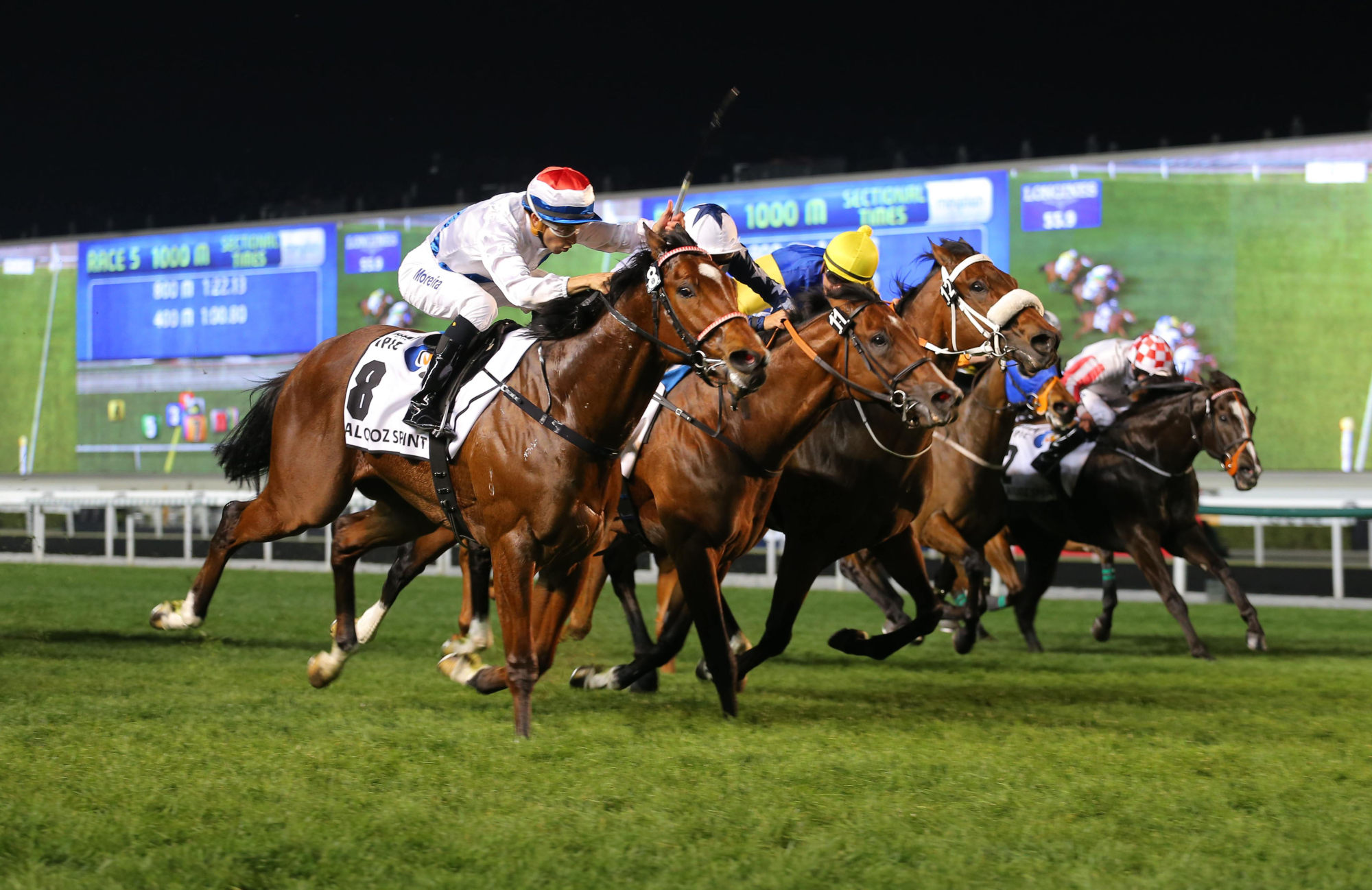 Joao Moreira drives Amber Sky to take out the 2014 Group One Al Quoz Sprint (1,000m) at Meydan.