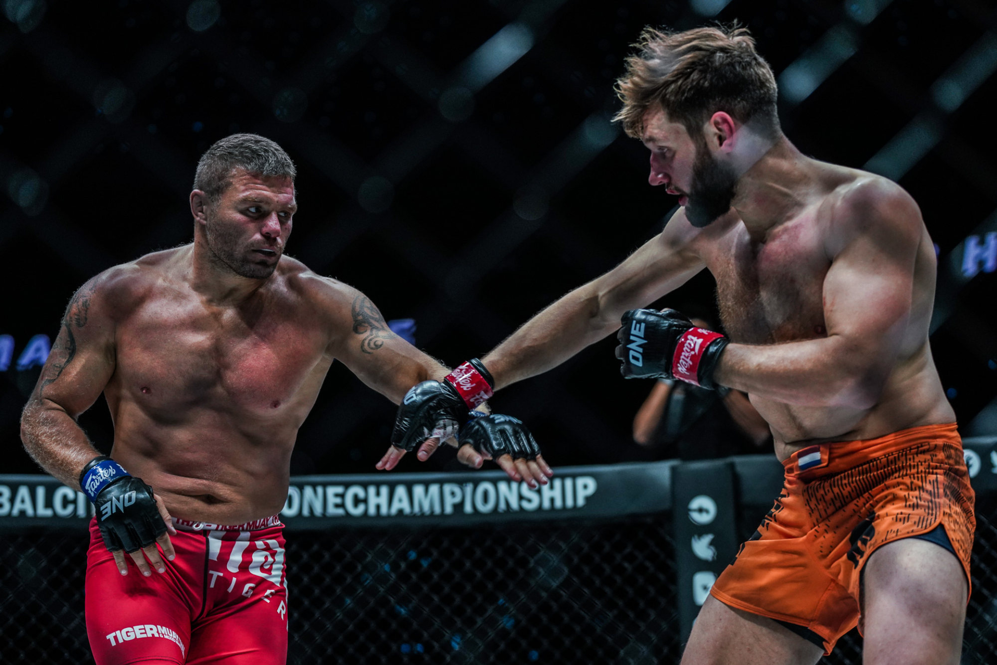 Бойцы MMA. Бойцы ММА России.