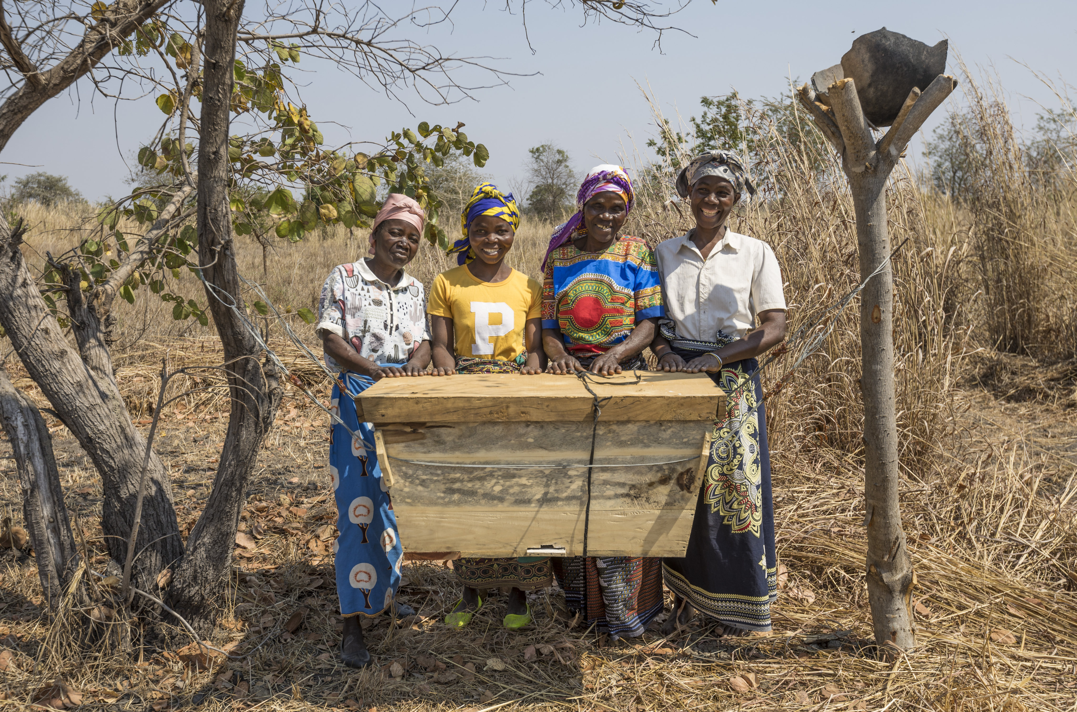 South Africa's wildlife ranches can offer solutions to Africa's growing  conservation challenges