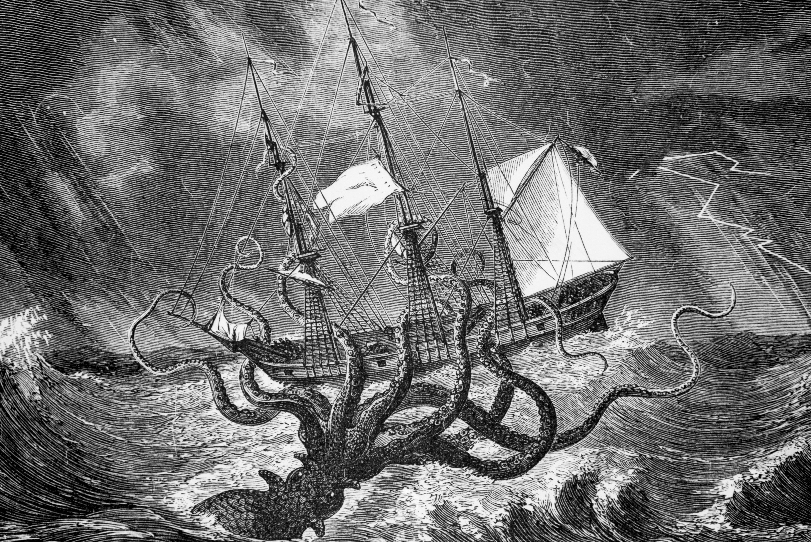 The kraken, which terrorised the seas and dragged vessels down to their watery doom, is also the unofficial name of a recent Covid-19 variant with the potential of becoming globally dominant in the coming months. Photo: Getty Images