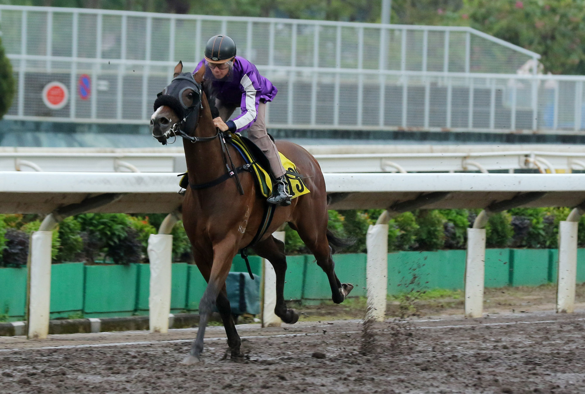 Hurry Hurry Rich wins a Sha Tin trial in December.