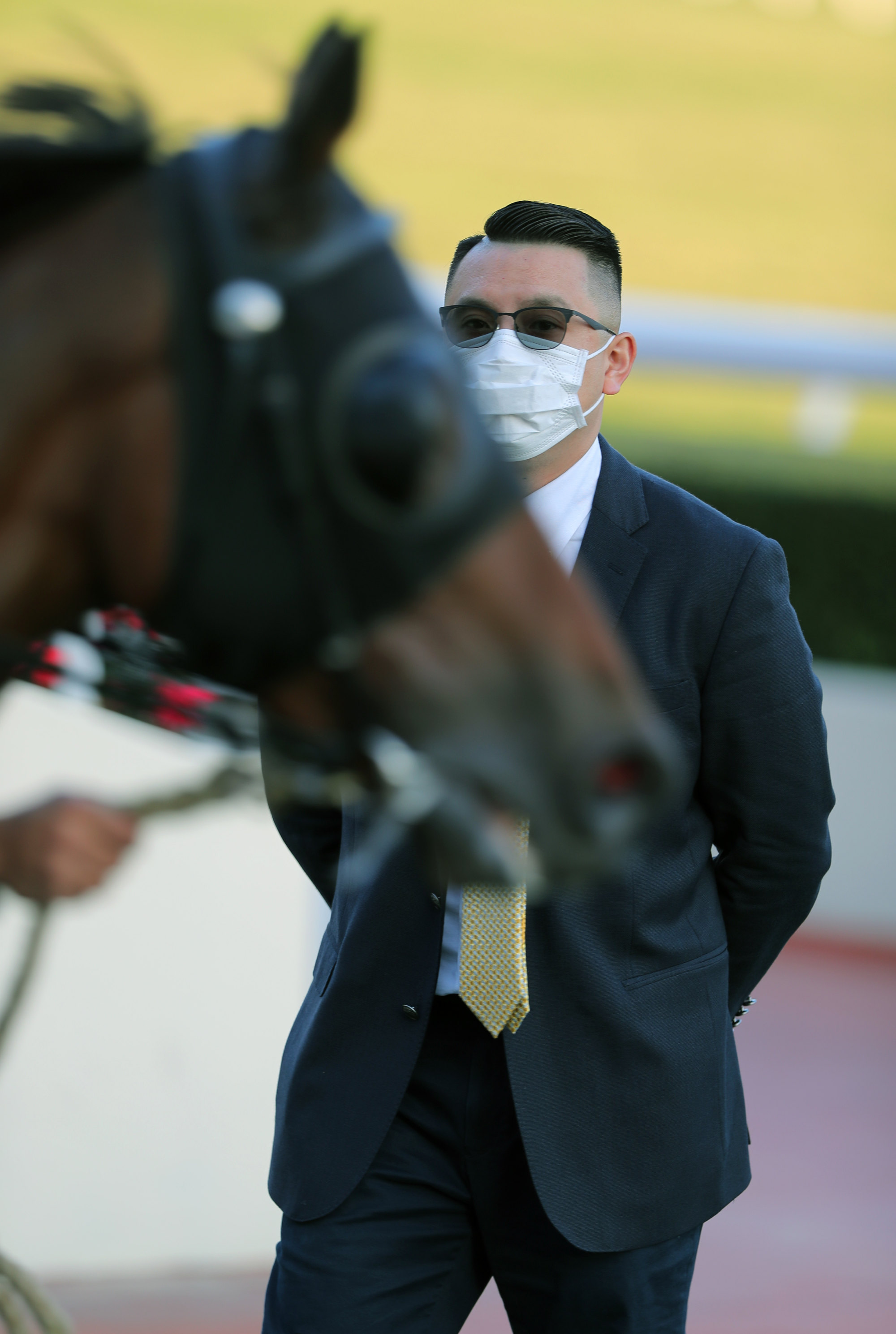 Pierre Ng looks over one of his 21 winners so far this season.