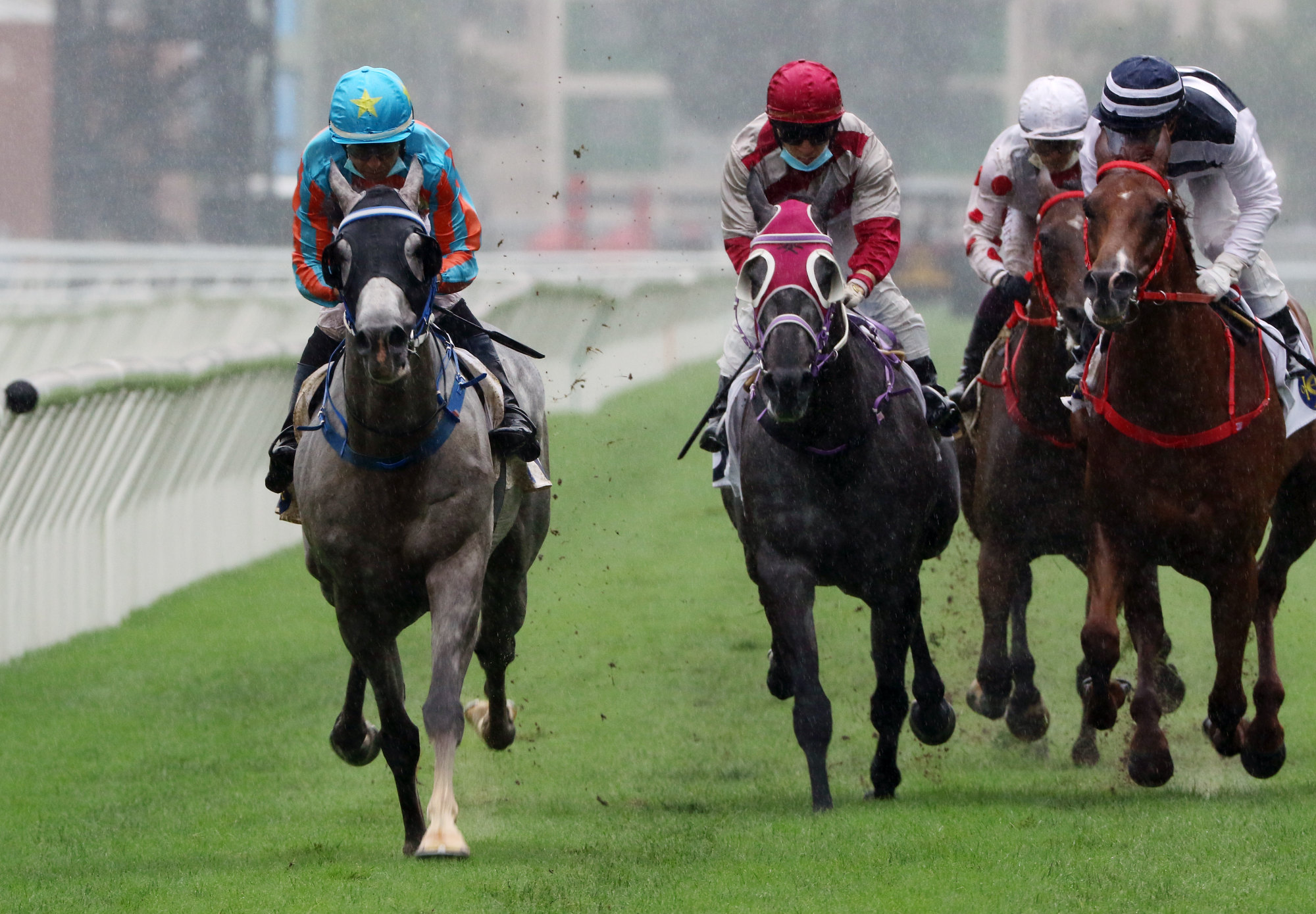 Senor Toba (left) wins the Queen Mother Memorial Cup last May.