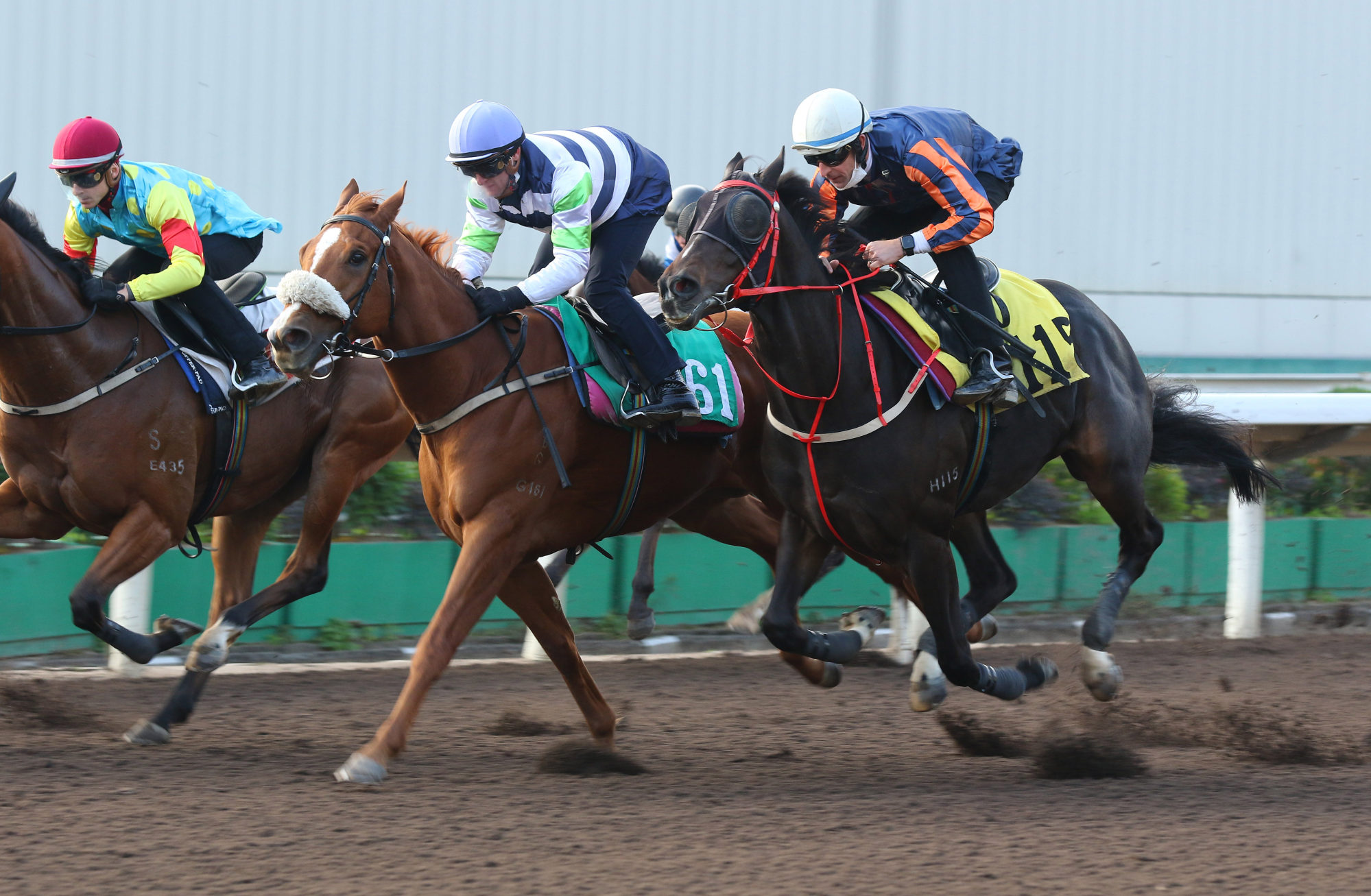 Packing Treadmill (middle) finishes third in his trial at Sha Tin on Tuesday morning.