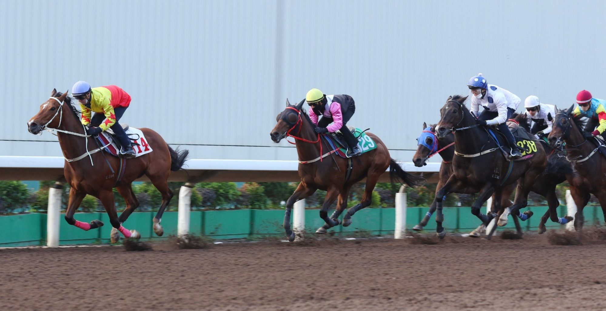 California Spangle wins Tuesday morning’s trial.