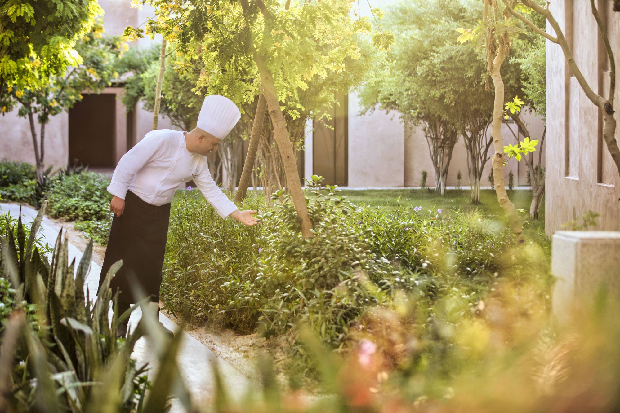 The Middle East is expanding its tourist offerings to include wellness retreats such as Zulal Wellness Resort in Qatar whose chefs have their own herb garden. Photo: Handout