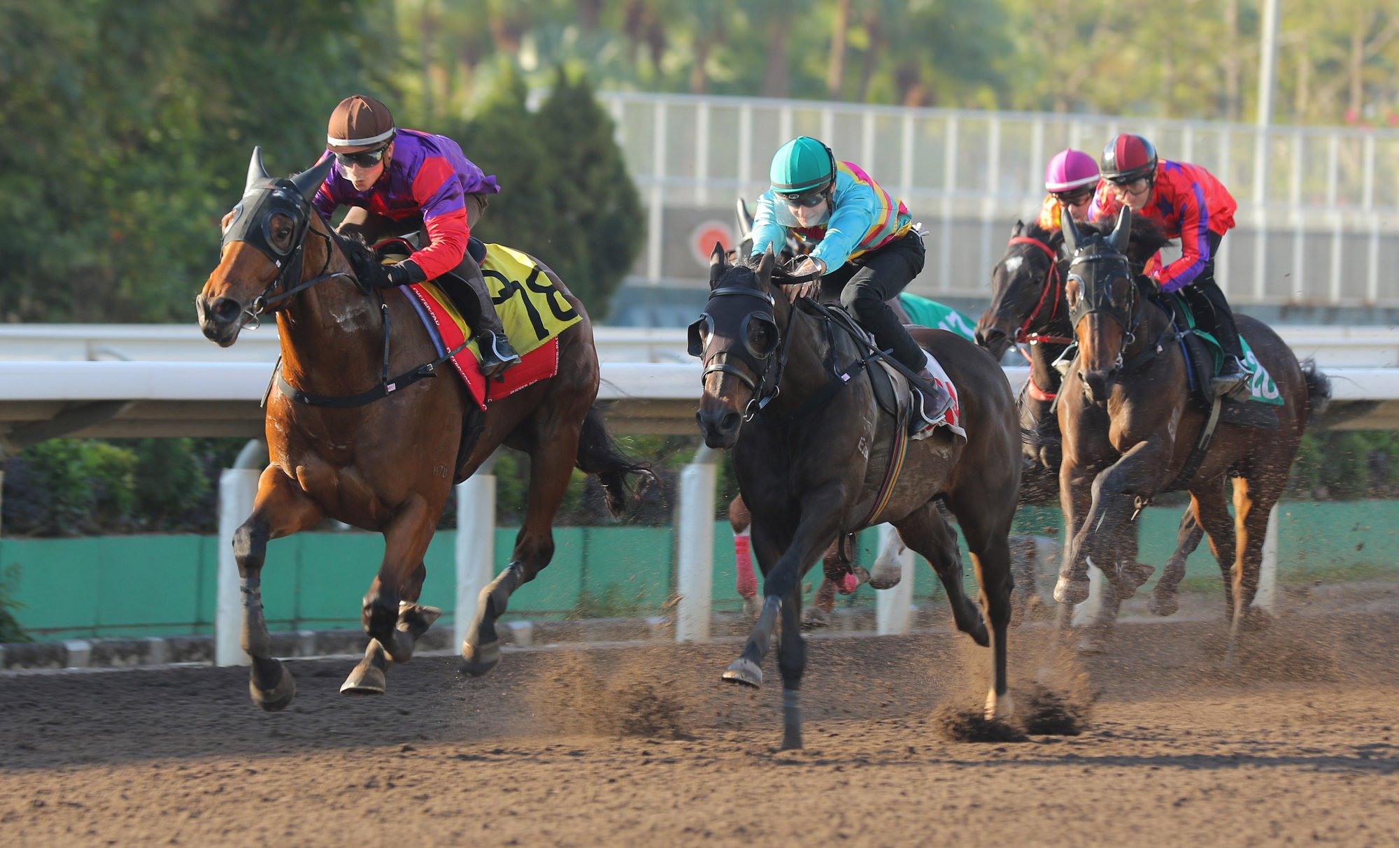 Blue Marlin (left) wins a barrier trial under Lyle Hewitson.