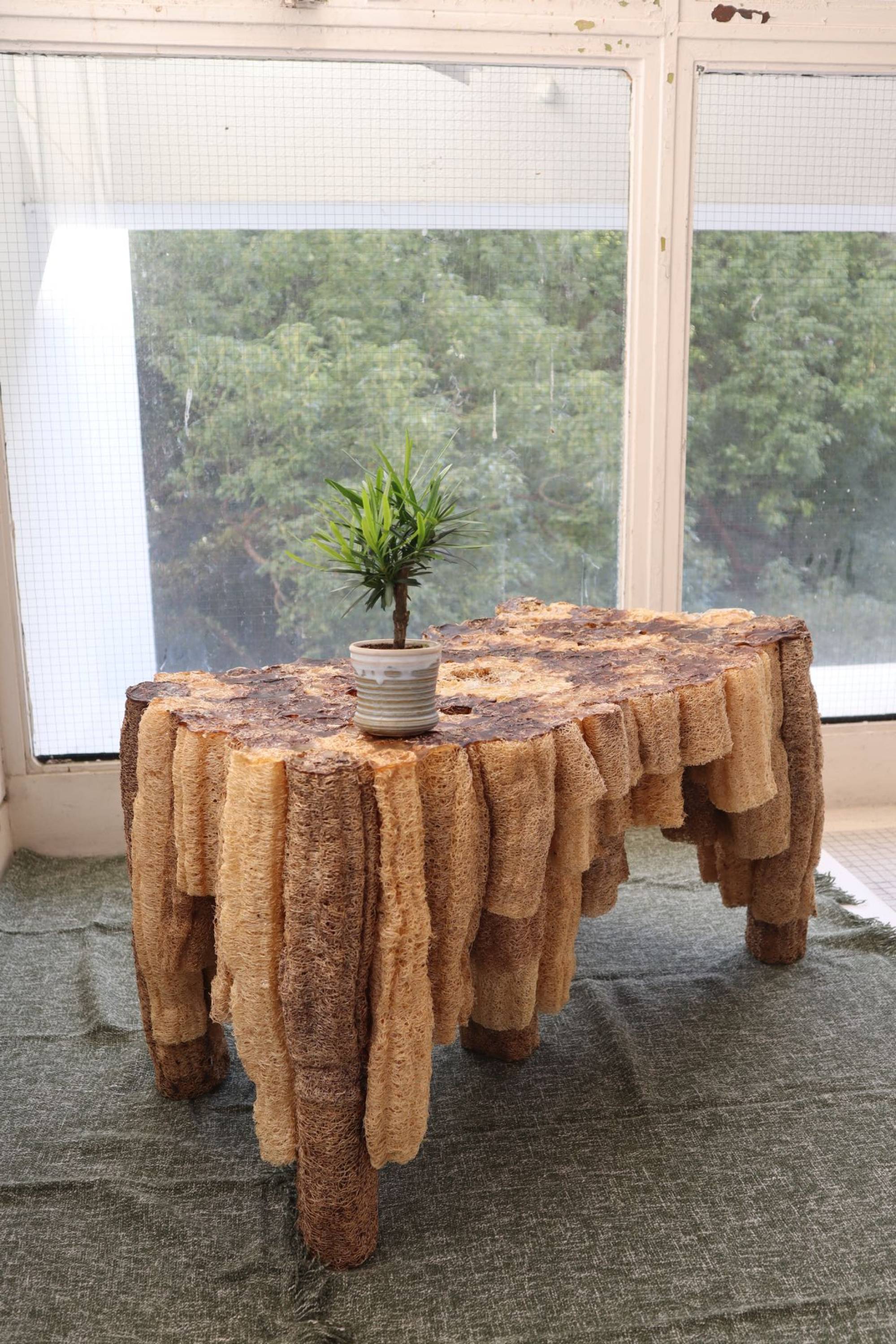 Winnie Heung Tsz-kwan and Nomy Yu Jianing led a project experimenting with loofah, exploring its potential for furniture production – such as for a coffee table.