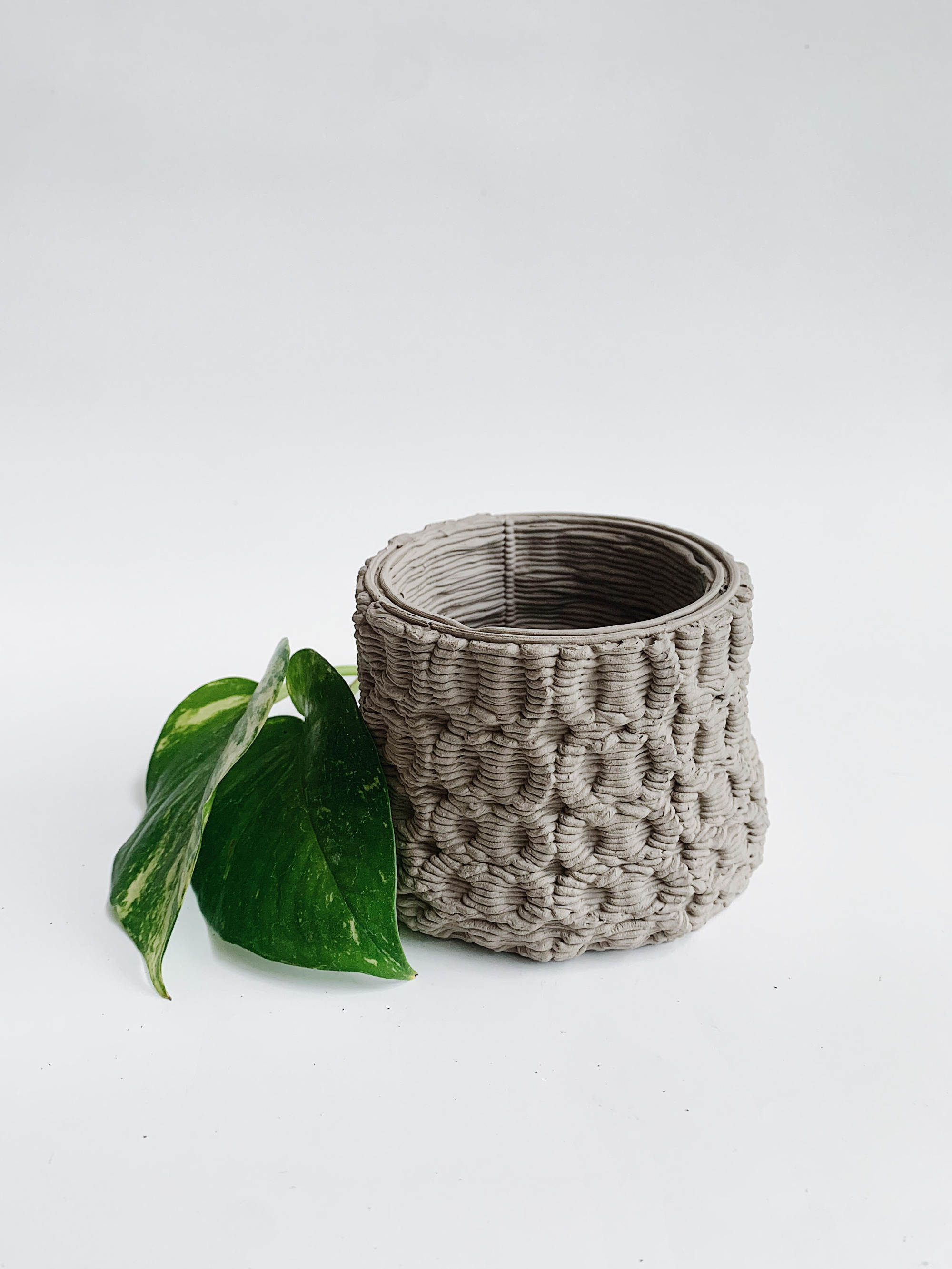 A slaughterhouse by-product, blood, in powder form, was incorporated into a self-watering planter in a project led by Gabriella Chau and Frankie Chi Chau-hang. Photo: Gabriella Chau/Frankie Chi Chau-hang