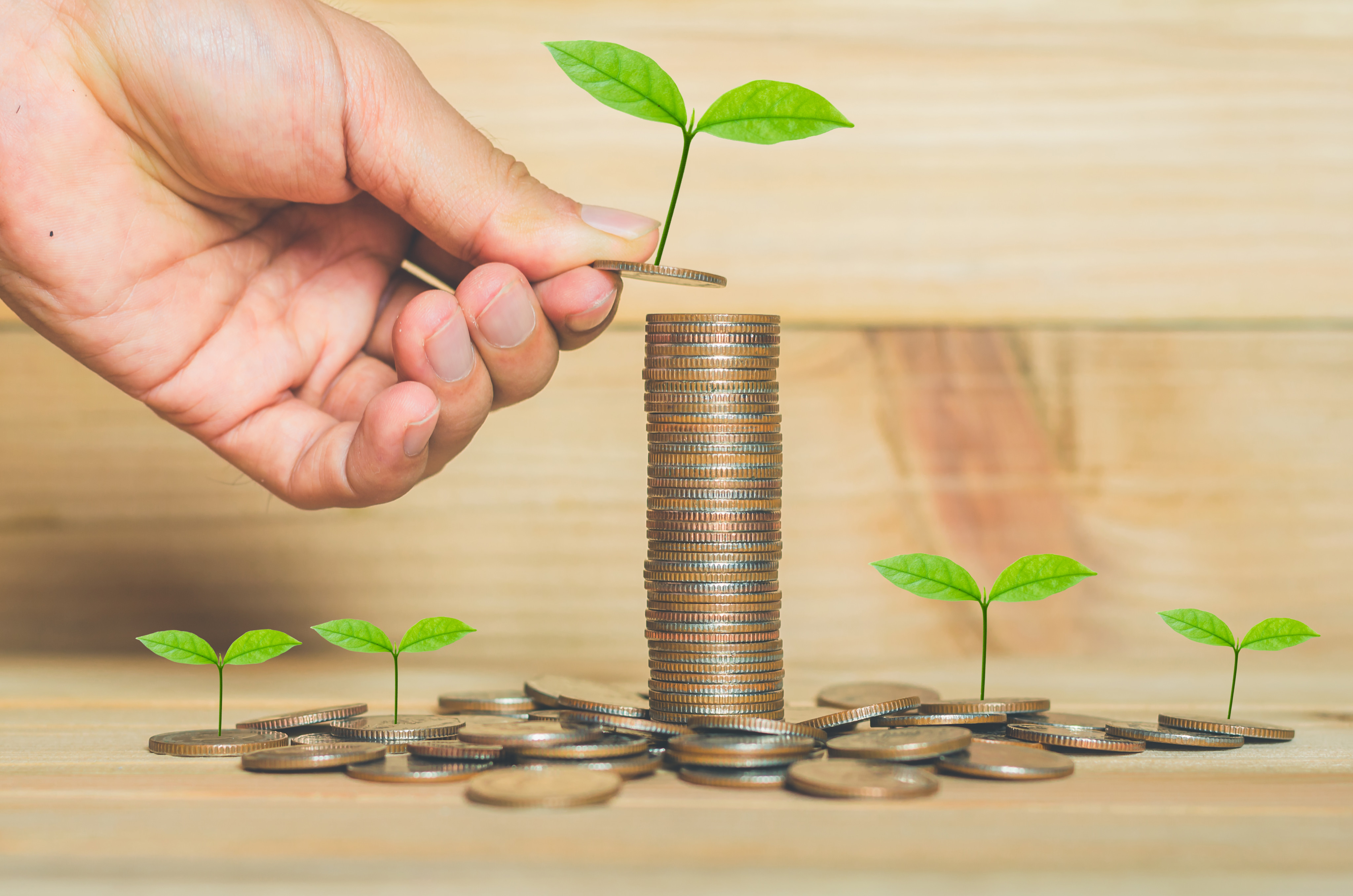 Chinese banks are likely to increase green bond issuances to fund their growing ESG loan portfolios. Photo: Shutterstock