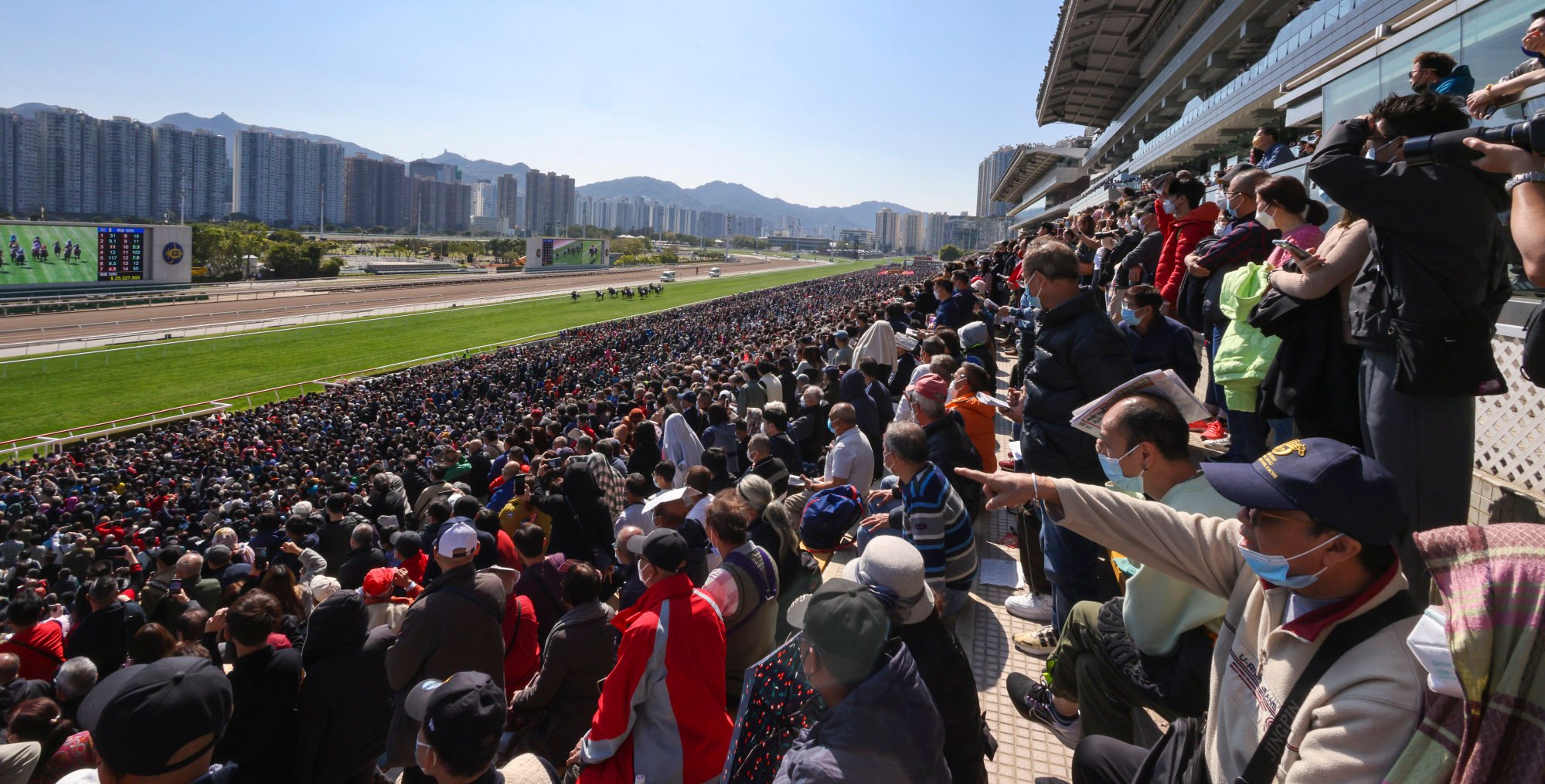 Punters crowd the stand during the Lunar New Year races at Sha Tin. Photo: Yik Yeung-man