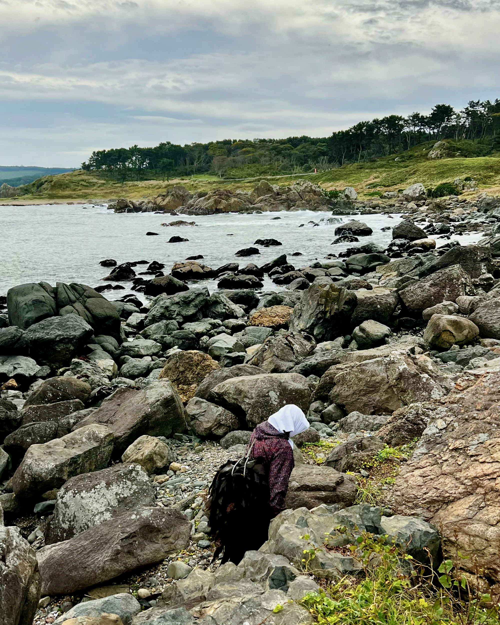 Elderly women can be seen collecting and drying kelp along a seaside section of the Michinoku Coastal Trail. Photo: Peter Neville-Hadley