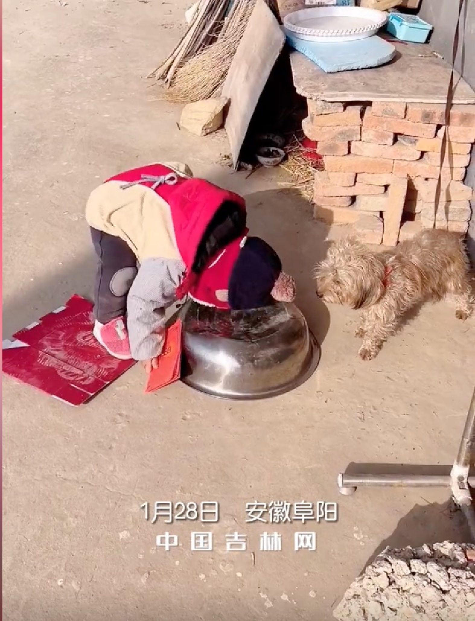 It is traditional in China to bow to family elders when receiving red packets. Photo: Douyin