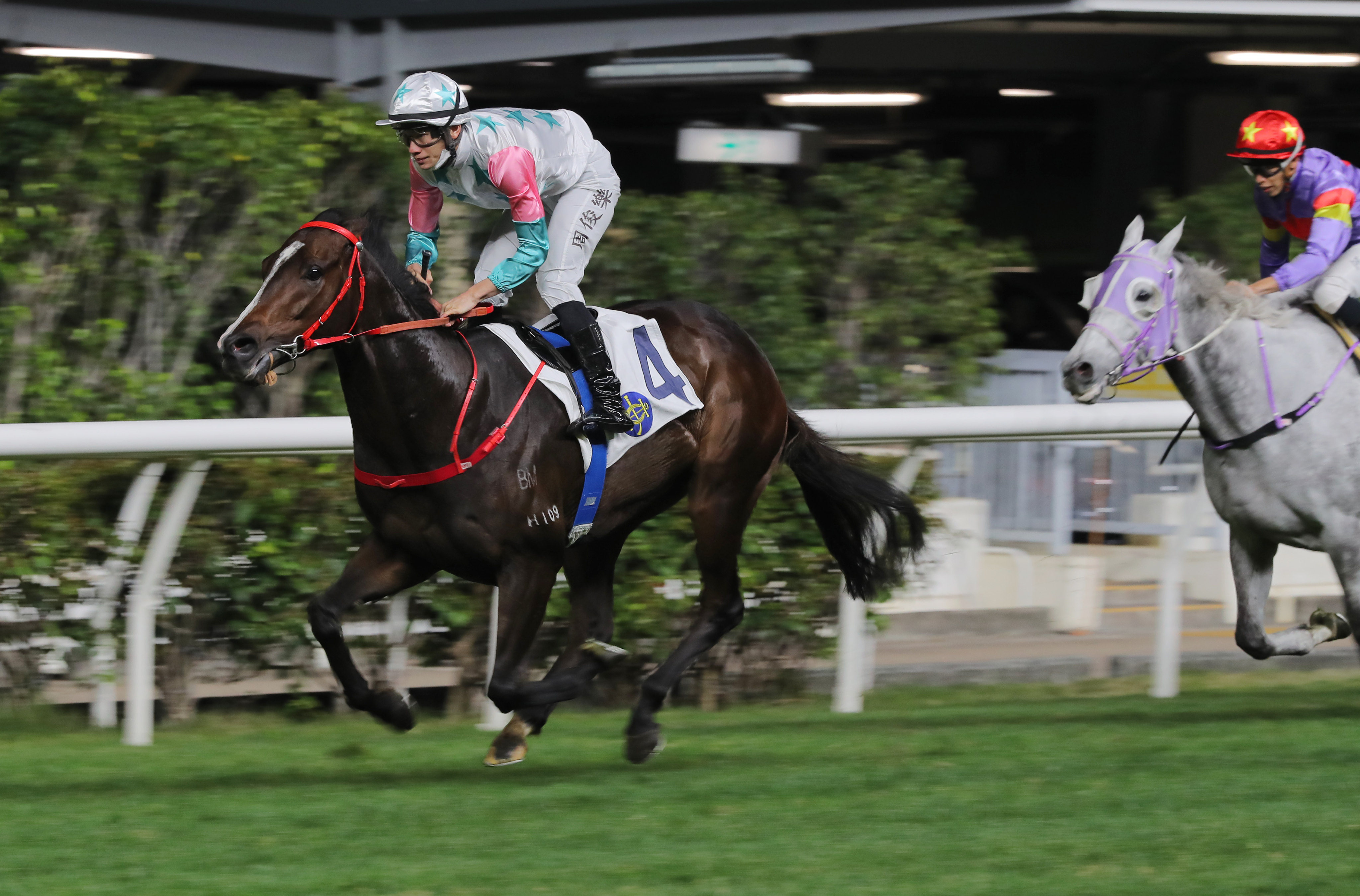 Chill Chibi salutes under Jerry Chau at Happy Valley on Wednesday night. Photo: Kenneth Chan