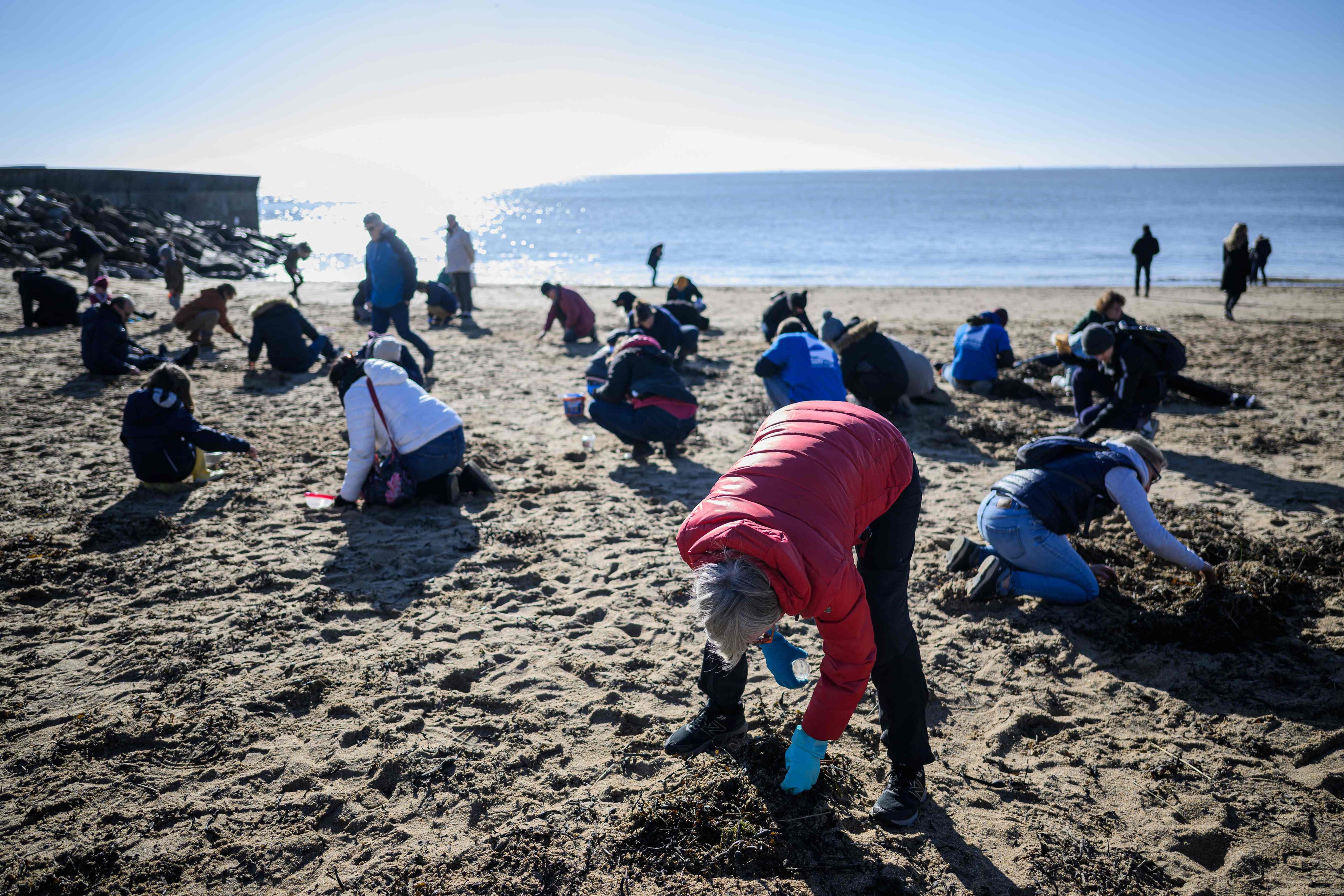 Dozens of volunteers look for plastic beads on a beach in Pornic, in western France, on January 21, after a large quantity of the beads washed ashore, polluting beaches. If we can focus on cleaning up our environment, we will automatically reduce the human influences on global warming. Photo: AFP
