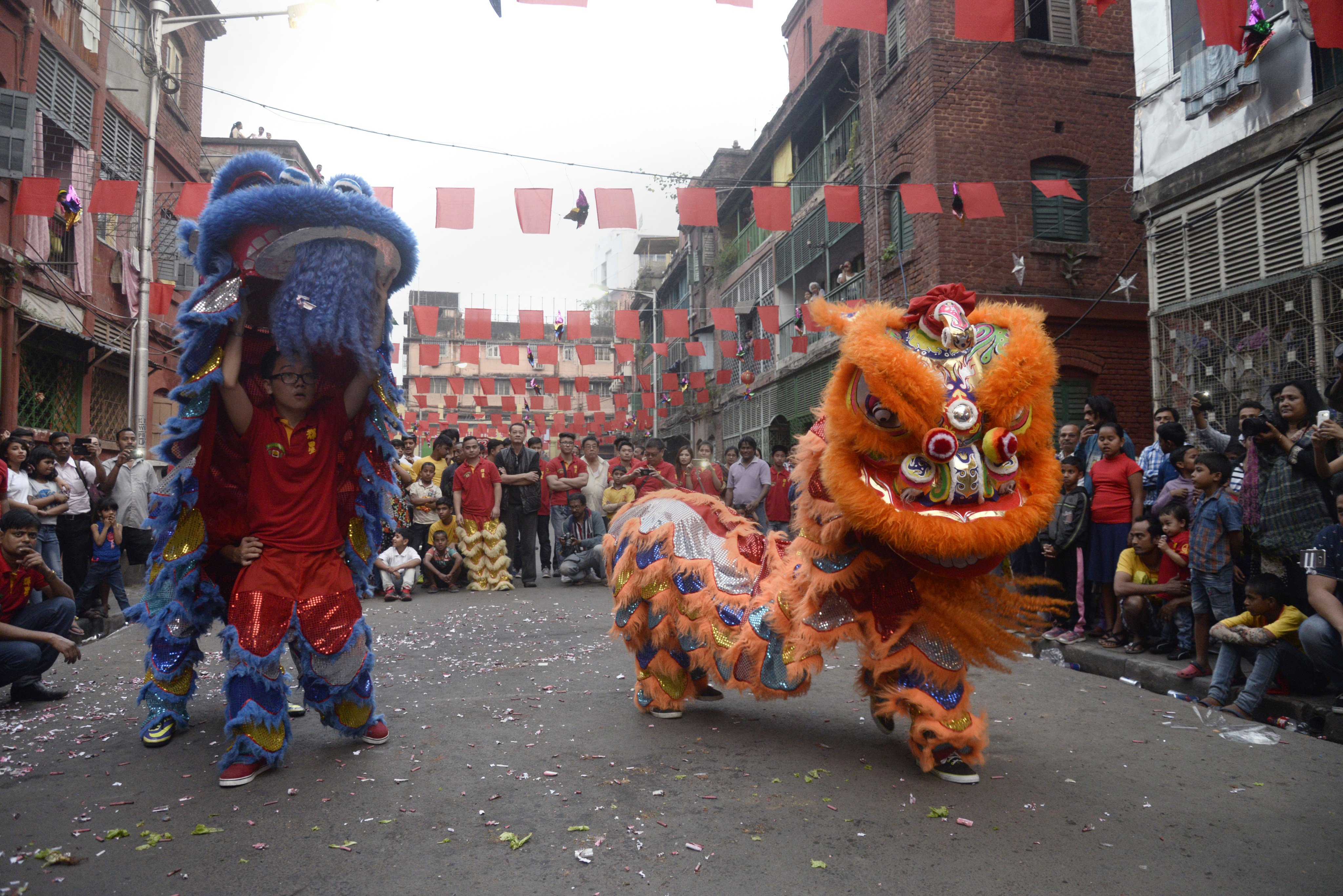 A lion dance is performed during a Lunar New Year celebration in Kolkata, India. File photo: Shutterstock
