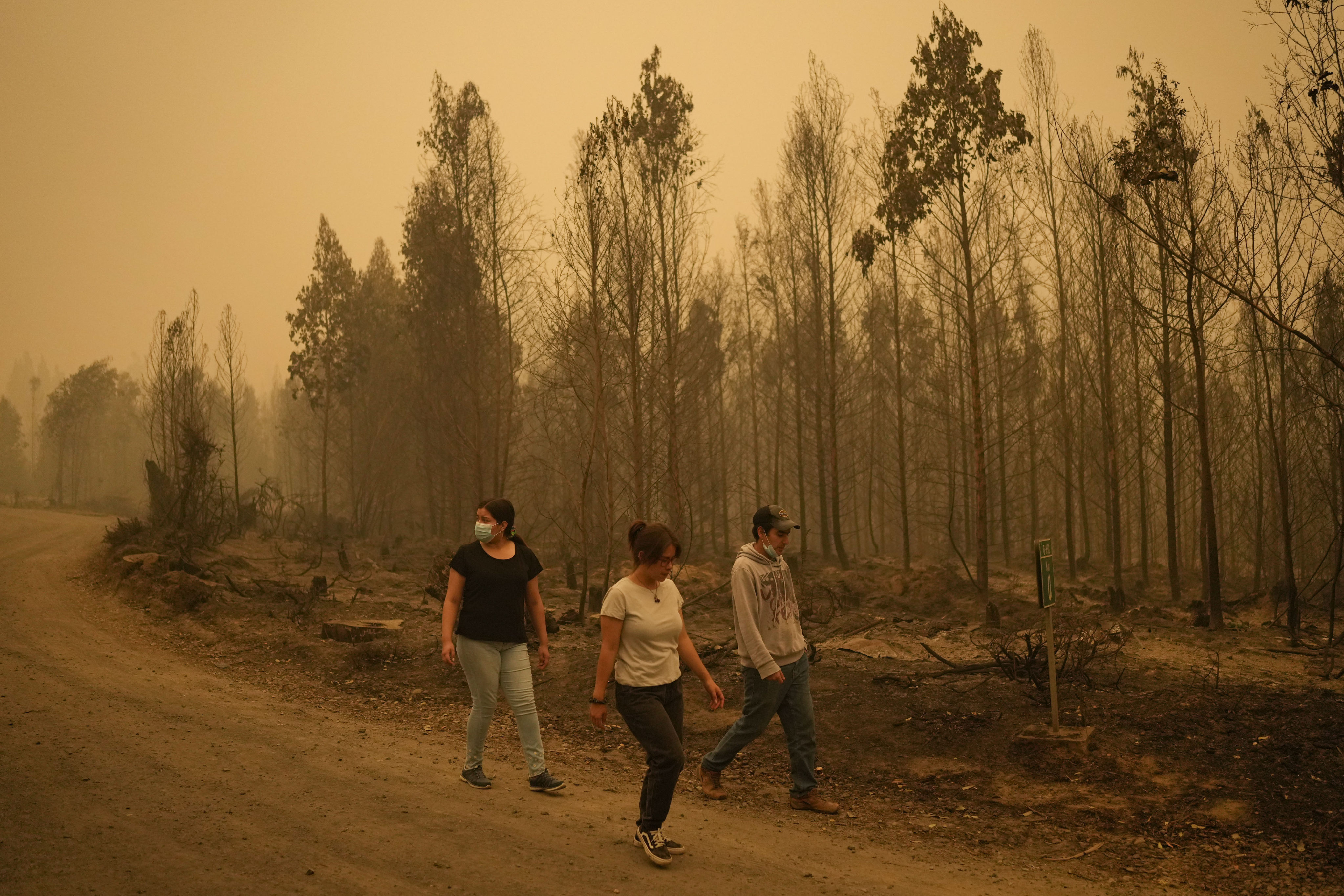 Chile forest fire death toll rises to 24, hundreds left homeless | South  China Morning Post