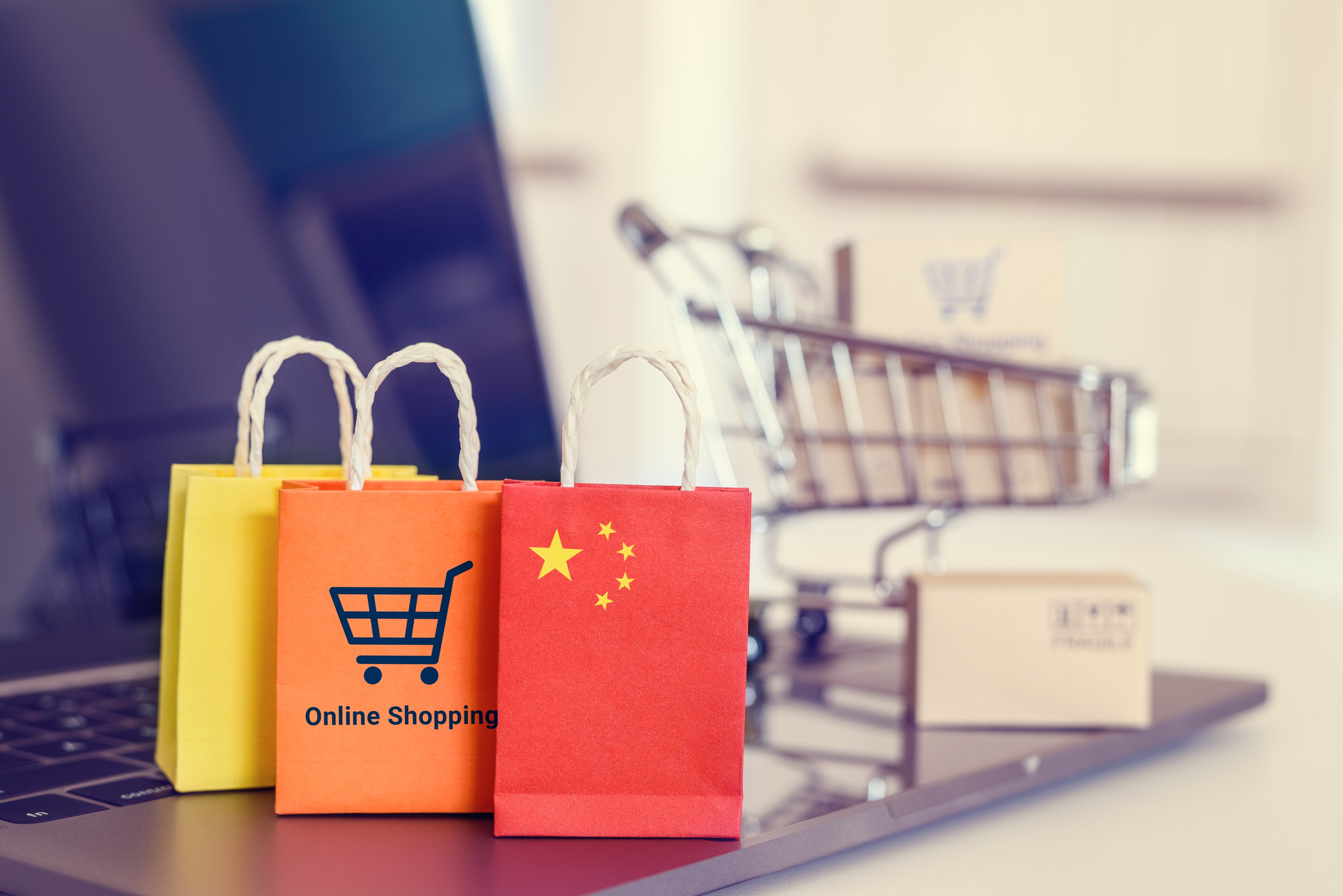 Beijing’s latest initiative would do away with offline supervision and inspection of online retailers, helping minimise interference with their normal business activities. Photo: Shutterstock