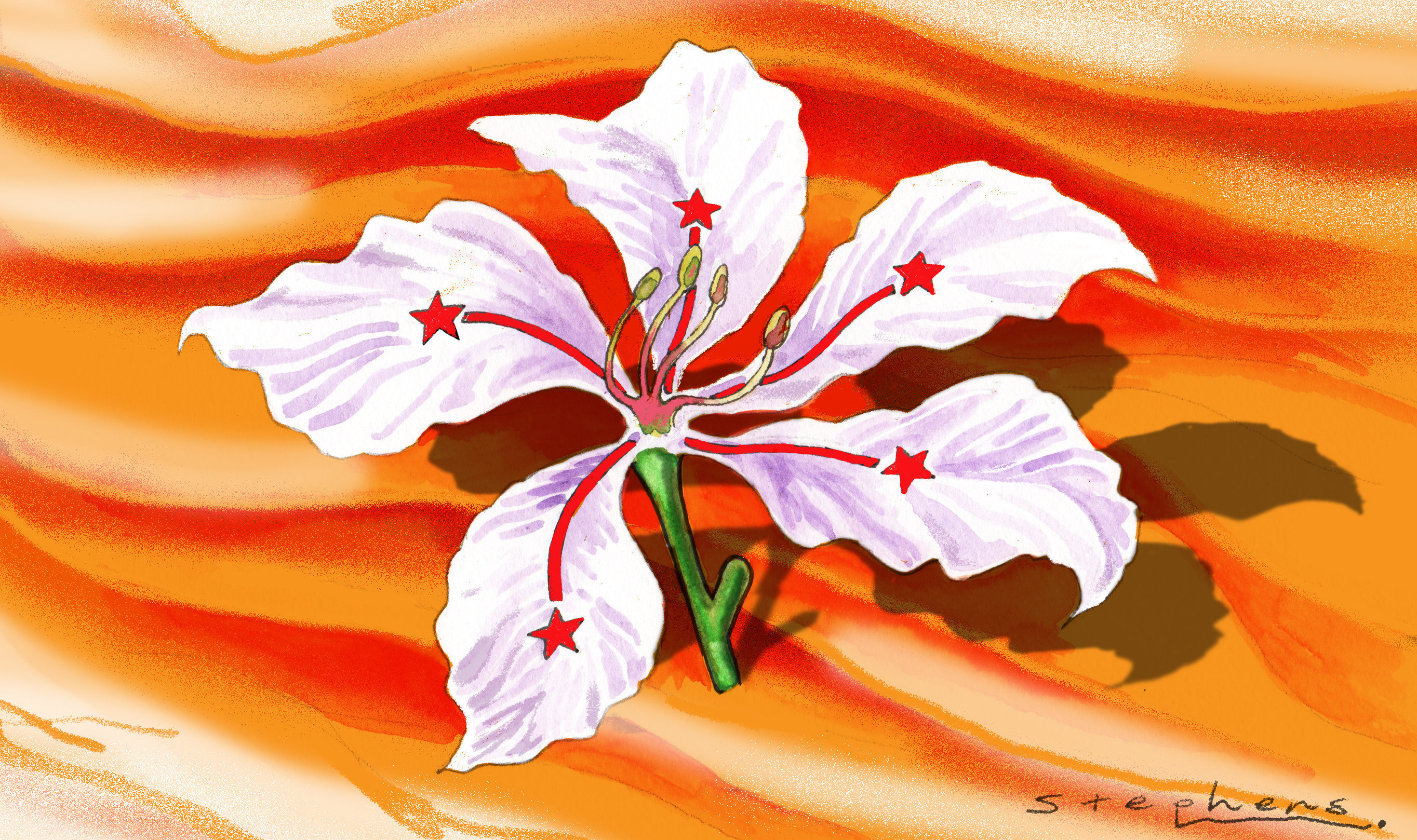 Illustration: Craig Stephens