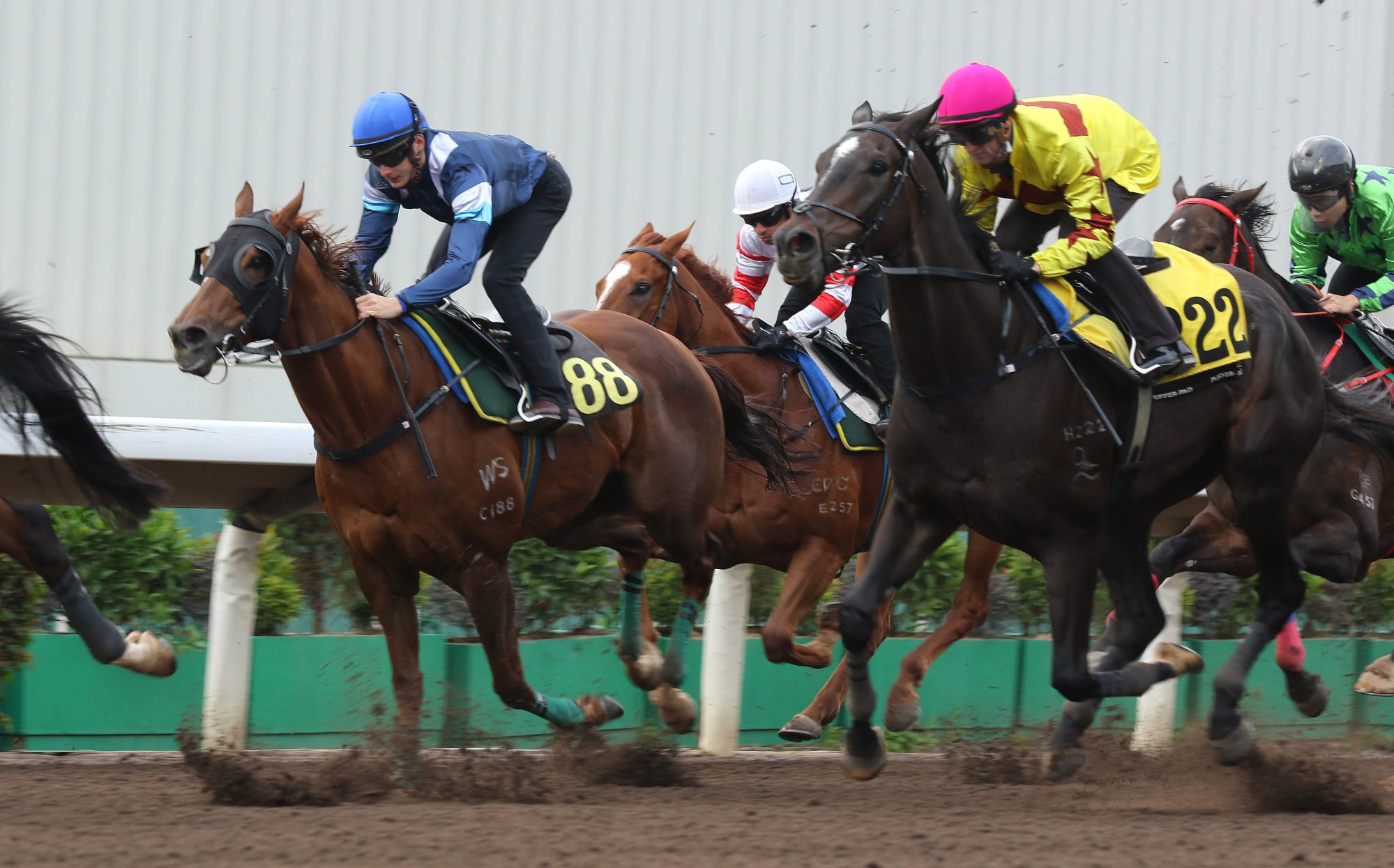 Duke Wai (left) trials at Sha Tin in January.