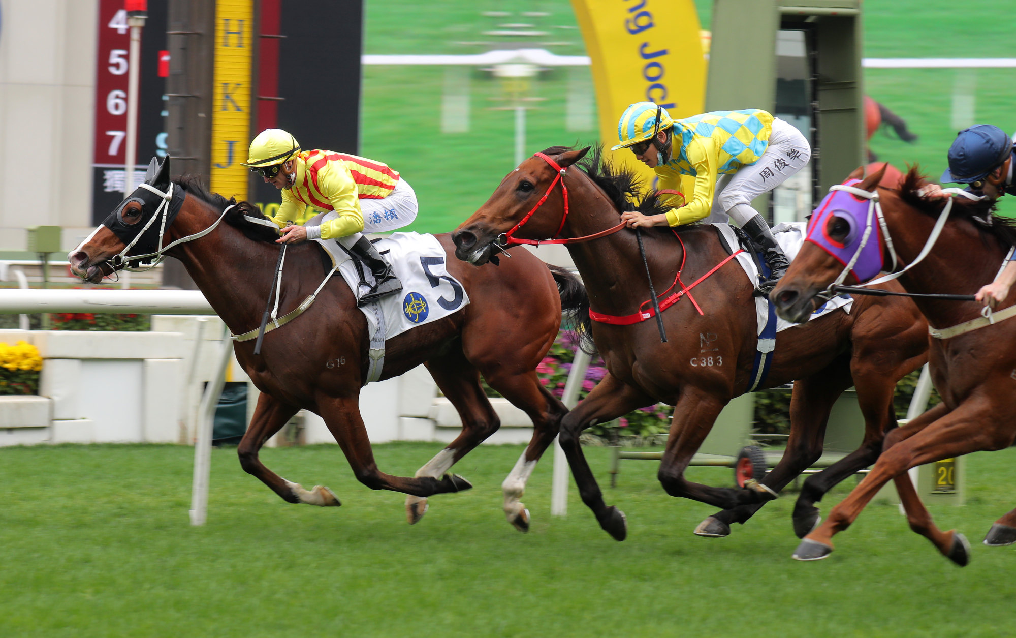 Circuit Stellar passes the Sha Tin winning post first in the Class Two Belcher Bay Handicap (1,400m) on Sunday.