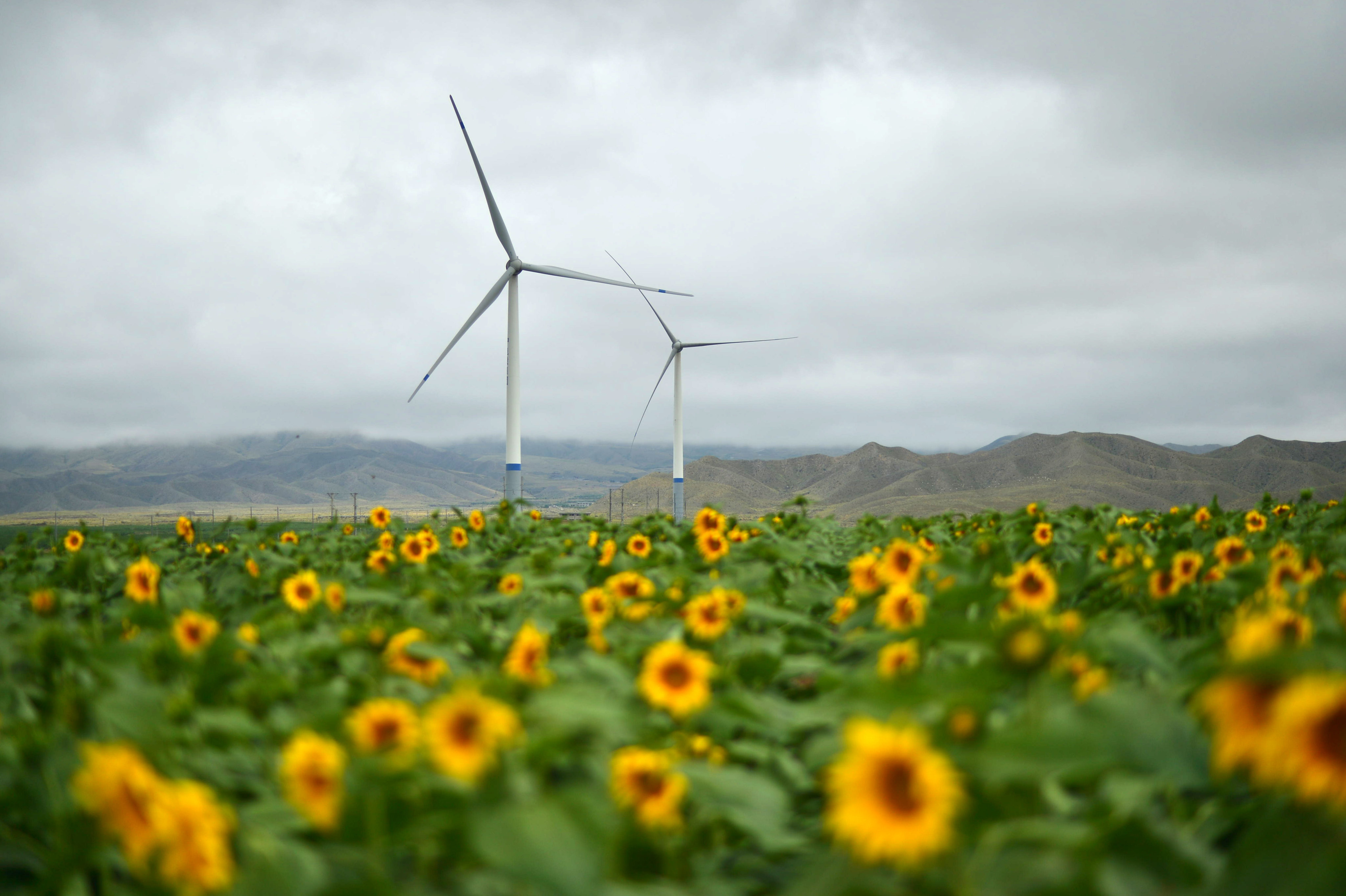 Hong Kong’s government issued US$5.75 billion in green bonds last month, denominated in US dollars, euro and renminbi. Photo: Xinhua