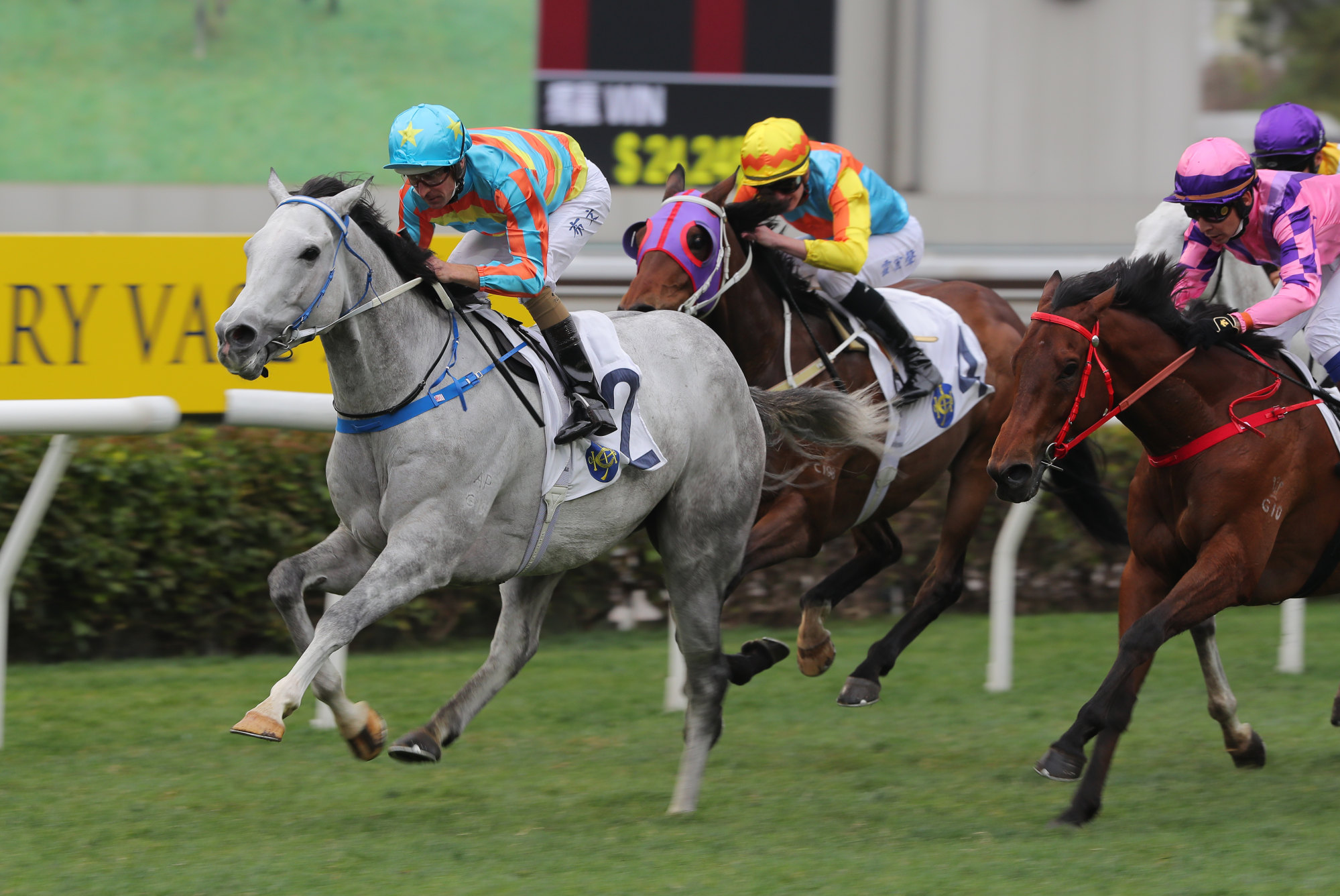 Senor Toba wins the Centenary Vase at Sha Tin on February 5.