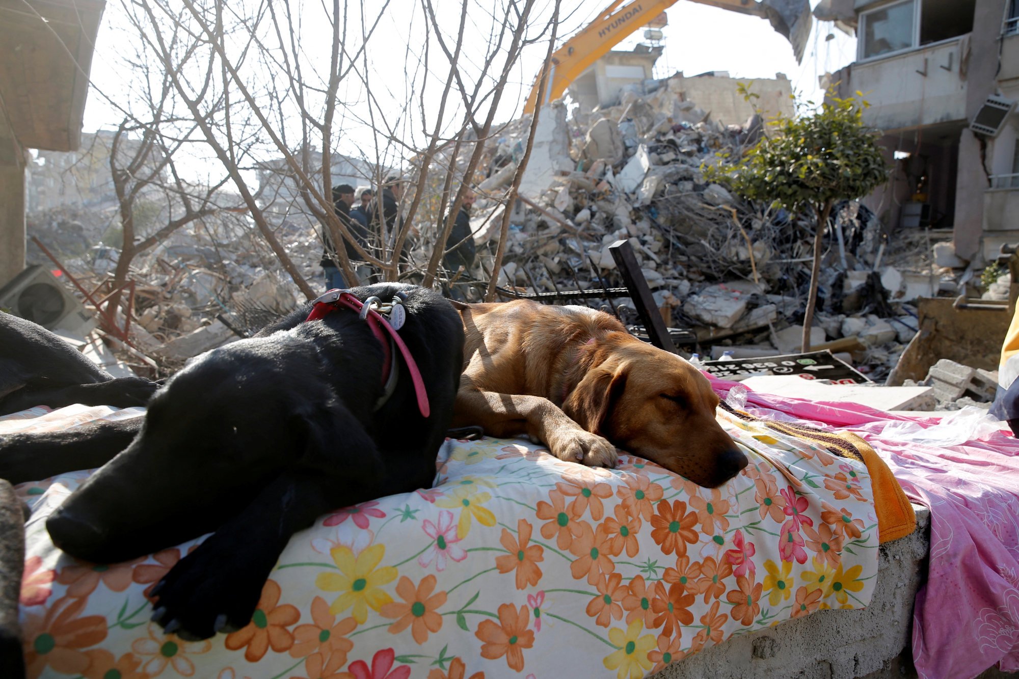 Search for earthquake survivors enters final hours in Turkey South