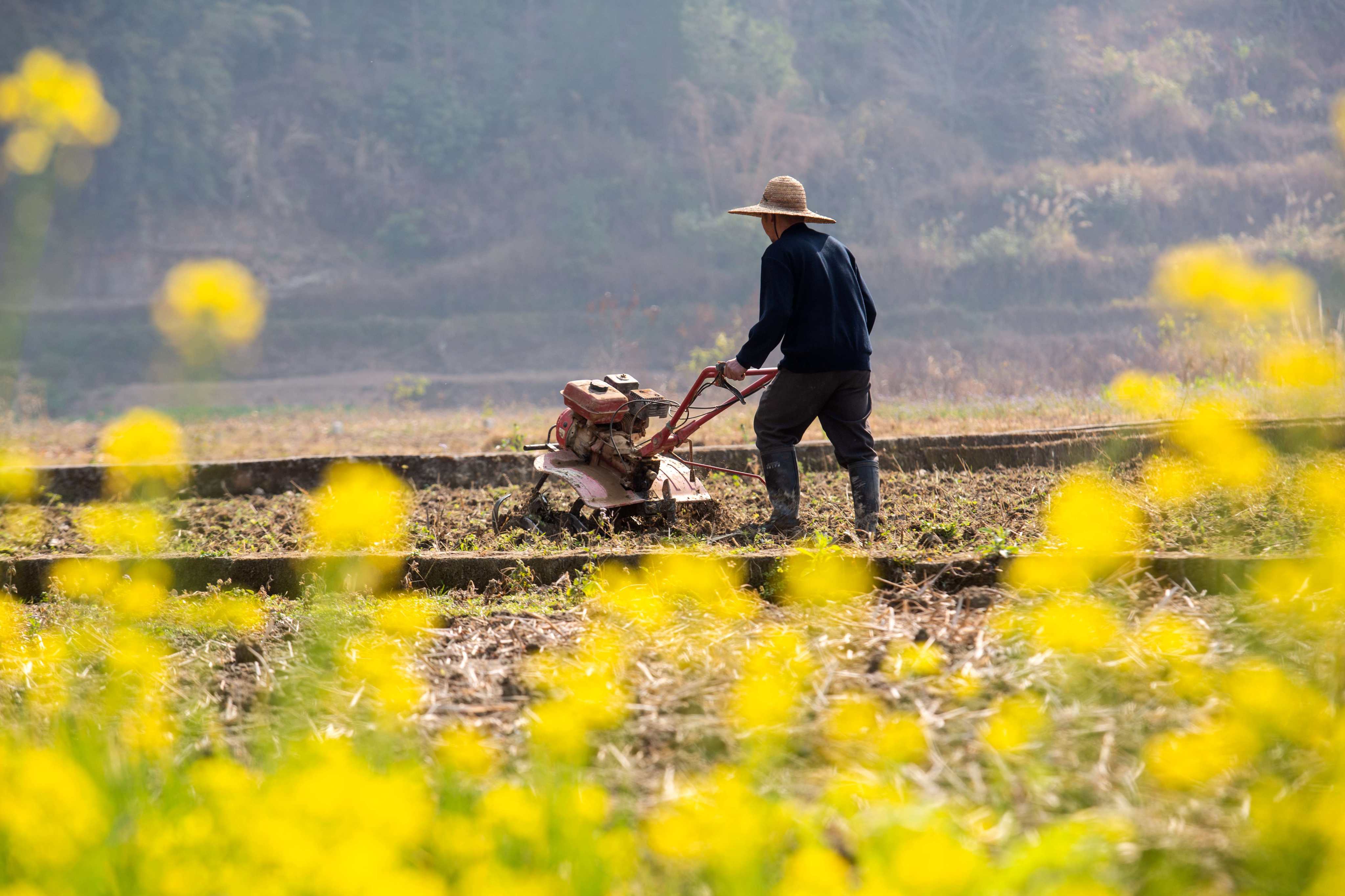Beijing has laid out its vision of turning China into an agricultural superpower. Photo: Xinhua