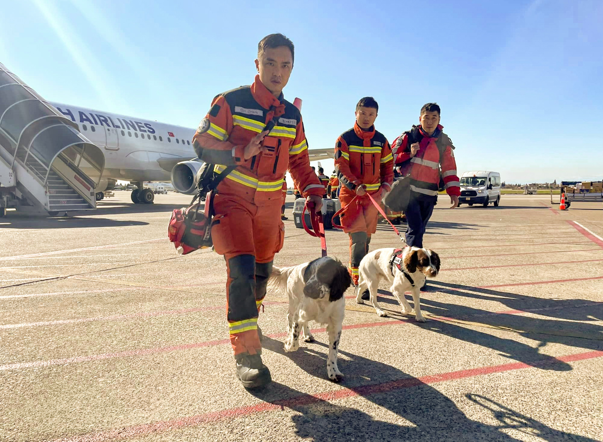 TurkeySyria quake Hong Kong rescue dogs brave tough conditions to