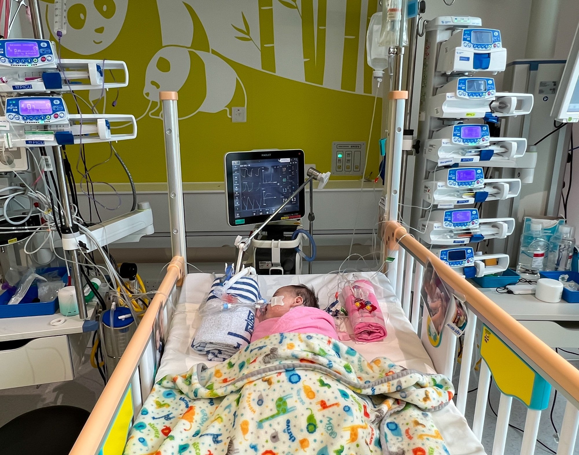 Hong Kong Baby Cleo Breathing Unaided 2 Months After City’s First Organ ...