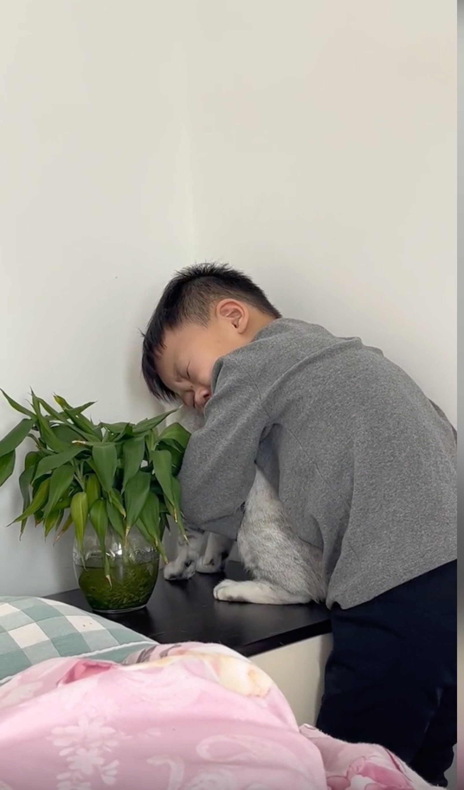The boy’s love and attachment to the cat touched millions of people on Chinese social media who saw the short video. Photo: Douyin