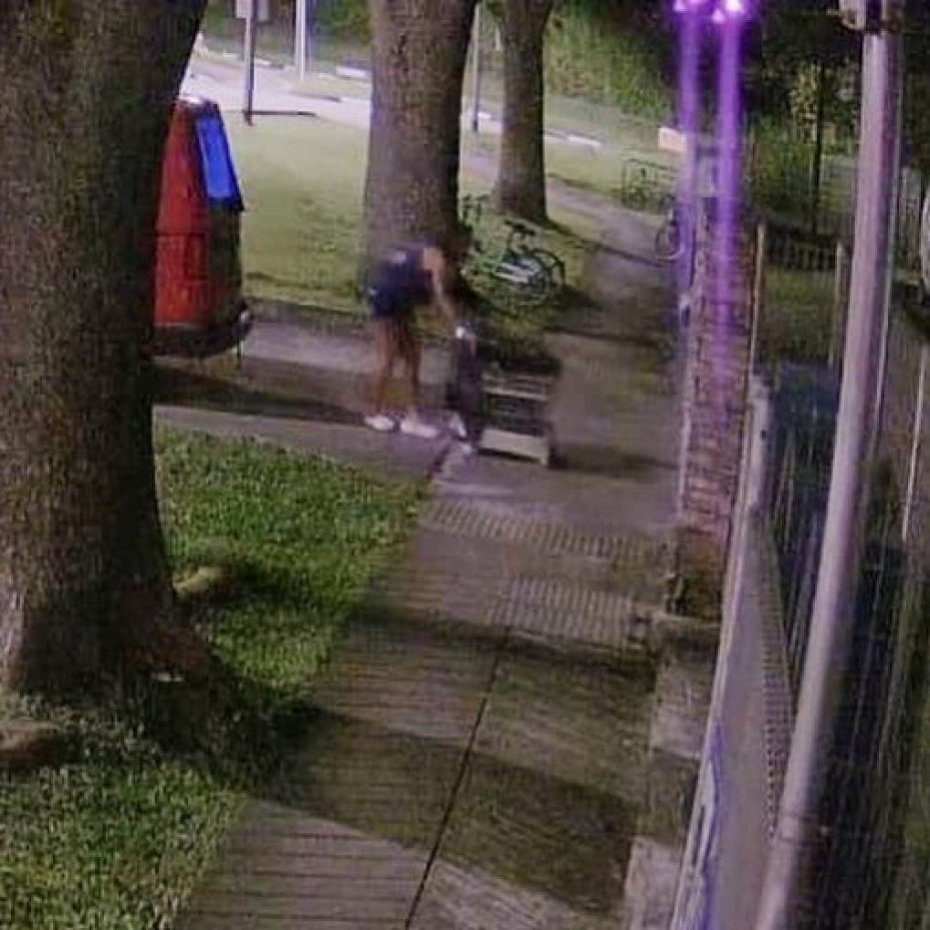 A screengrab from CCTV footage shows a cat being abandoned outside the main gate of the SPCA in Singapore. Photo: Facebook/SPCASingapore