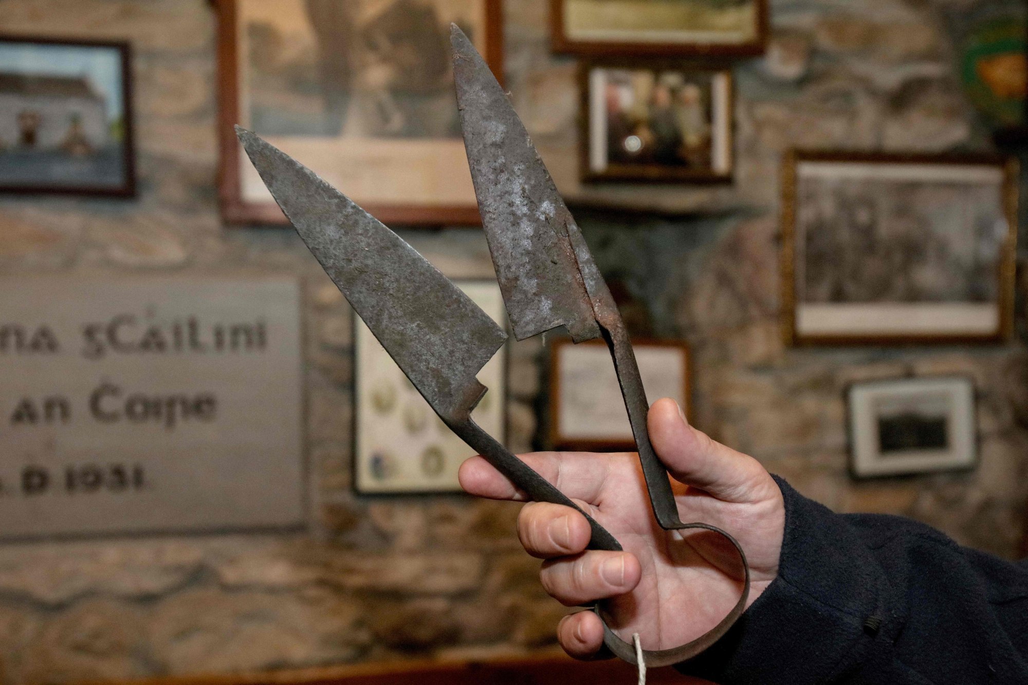 The “infamous” shears used by actor Brendan Gleeson’s character in The Banshees of Inisherin to chop off his own fingers. Photo: AFP