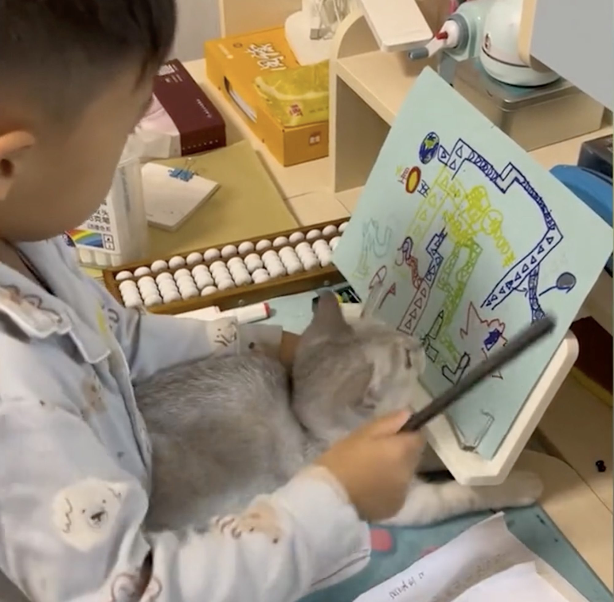 Among the criticisms levelled at the boy’s parents were comments about responsible pet ownership and questions about why they had not researched the cat before they committed to owning it. Photo: Douyin
