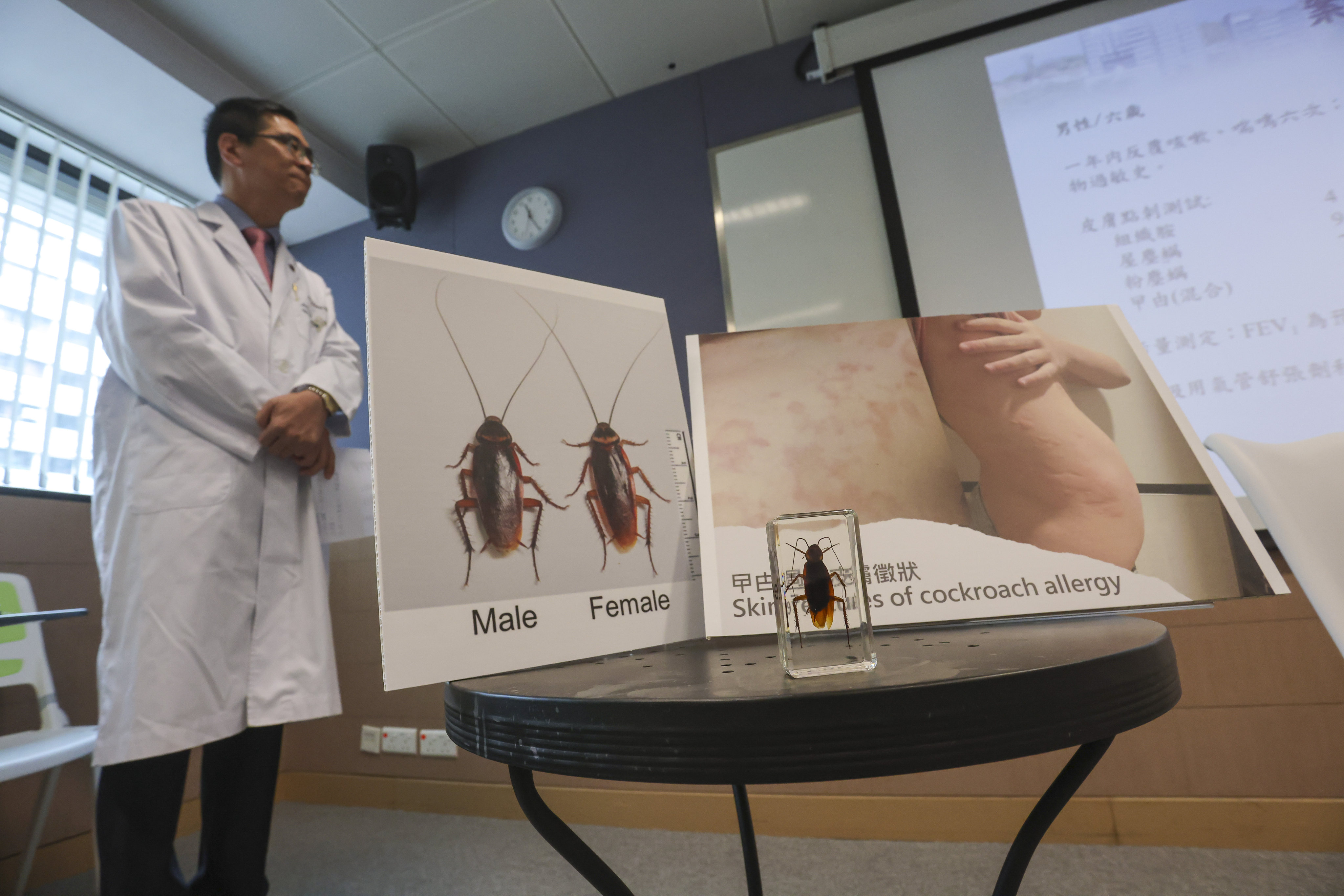 Researchers from Chinese University say they were also able to find seven new allergens in American cockroaches. Photo: Jonathan Wong