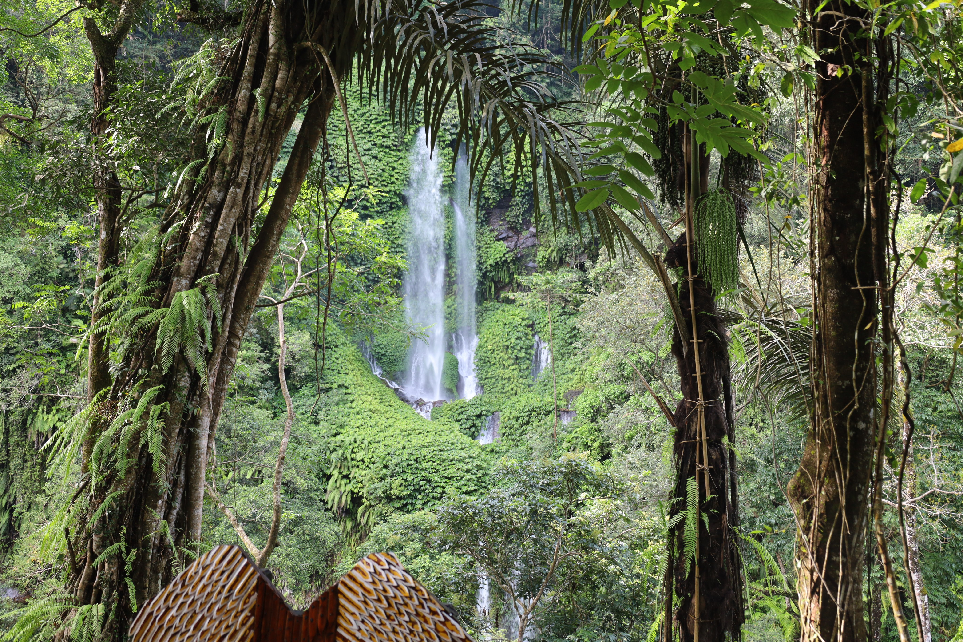 Sendang Gila waterfall, Bayan, Lombok, Indonesia. Photo: Thomas Bird