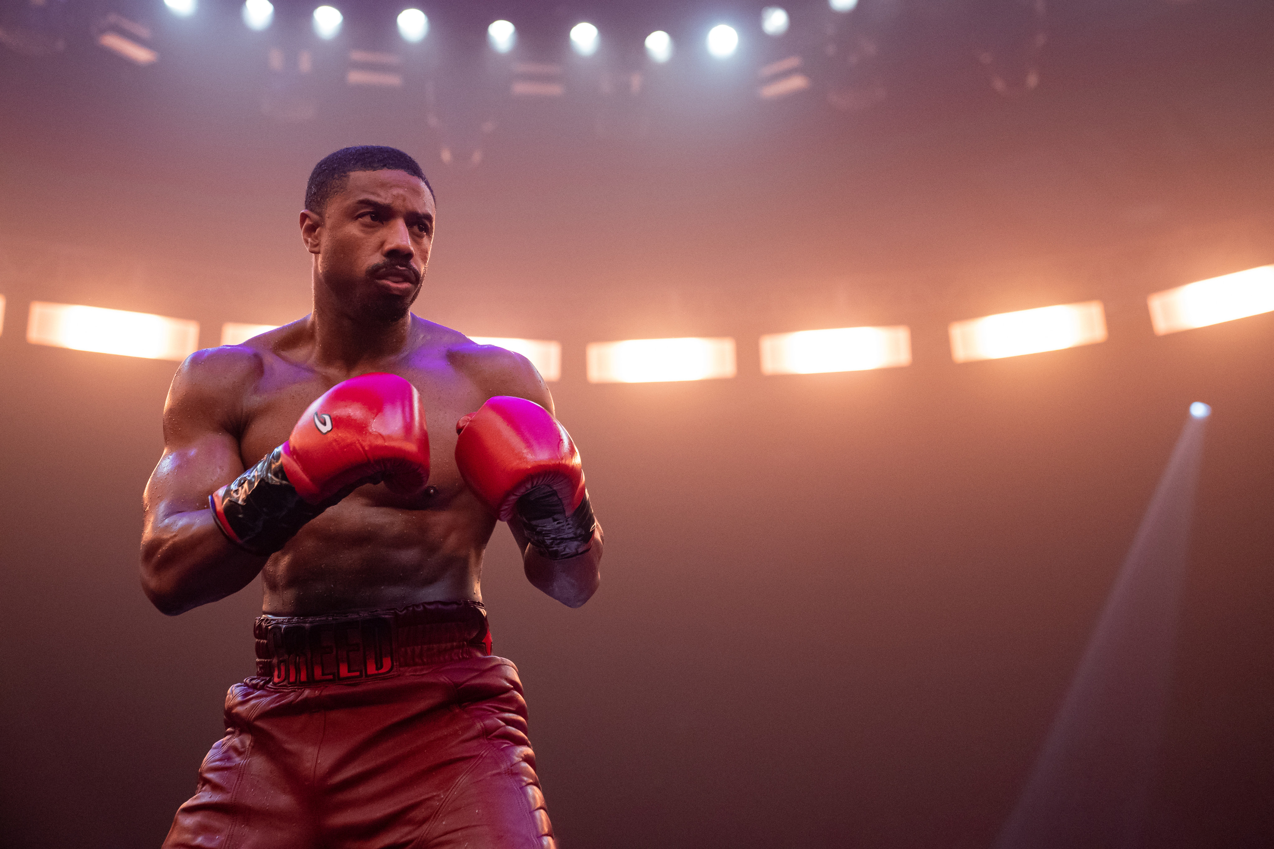 Michael B. Jordan as Adonis Creed in a still from Creed III. Photo: Eli Ade/Metro-Goldwyn-Mayer