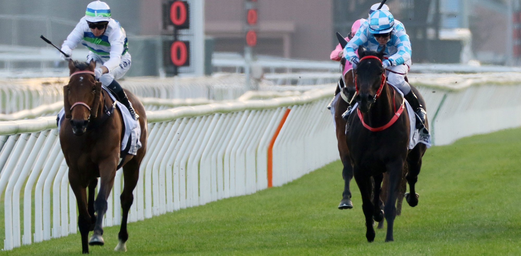 Luke Currie and Tuchel (right) finish second to Voyage Bubble and Jamie Kah in the Classic Mile.