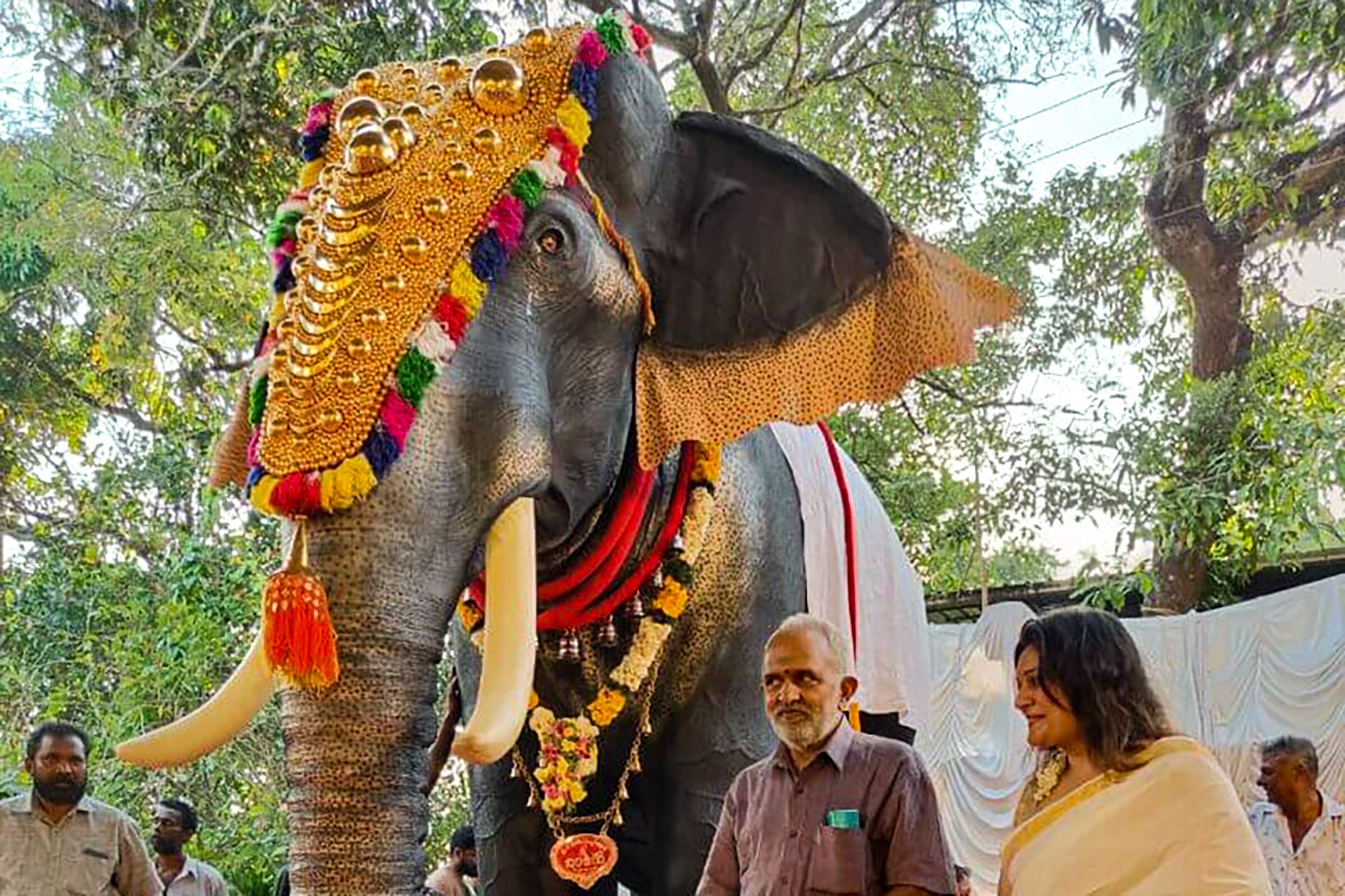 Irinjadappilly Raman, a mechanical elephant made by Peta. Photo: Peta India