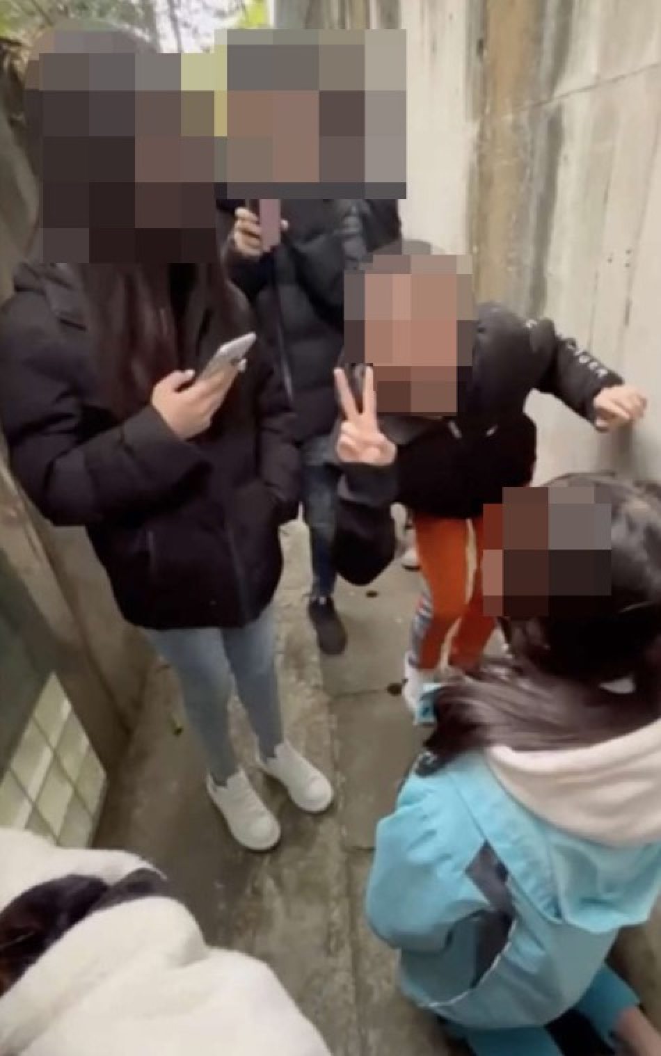 ‘Why did you call me ugly?’: Chinese girl ‘egged’ by smoking gang of ...